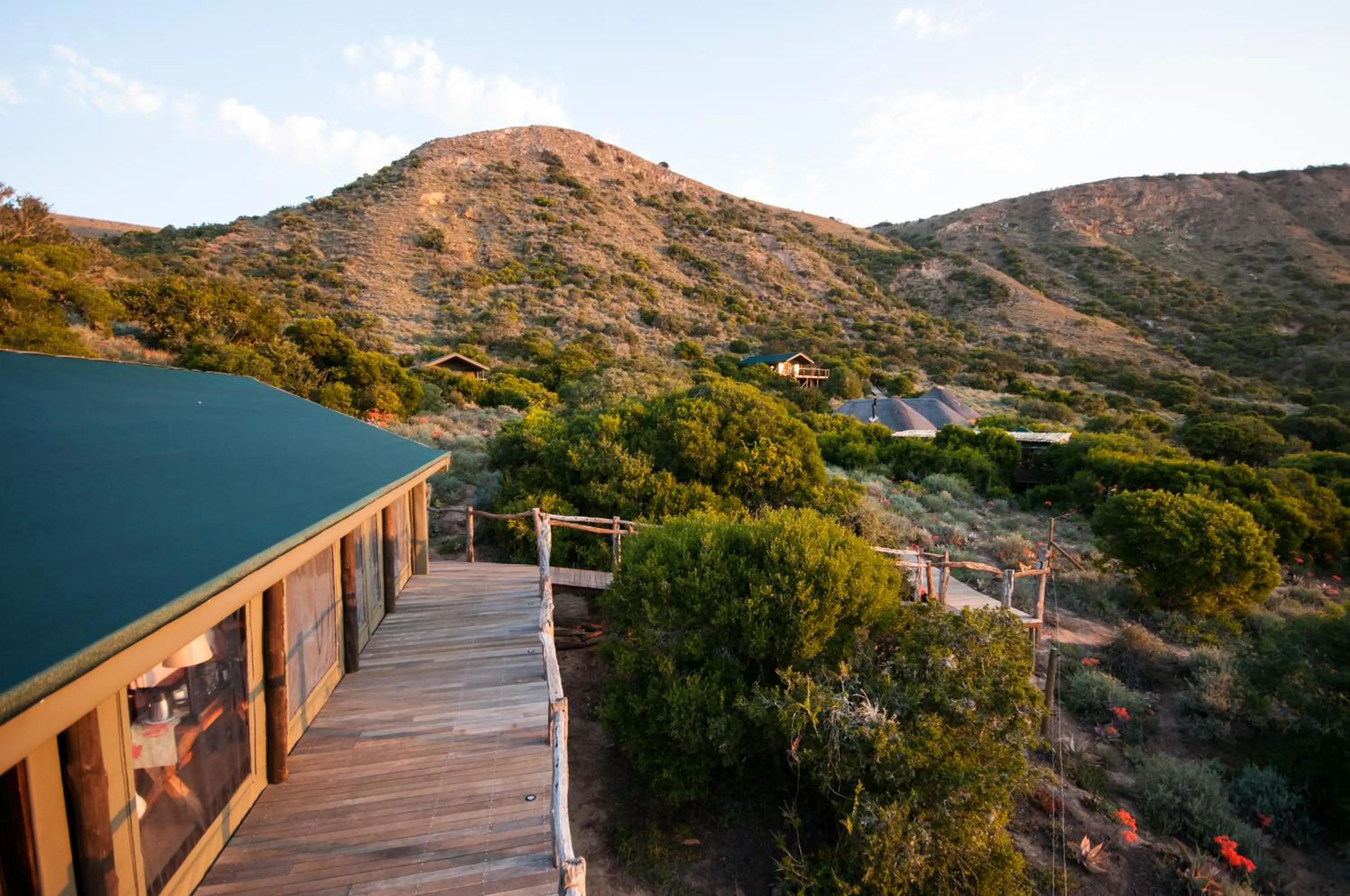 Bird's eye view in HillsNek Safari Camp – Amakhala Game Reserve