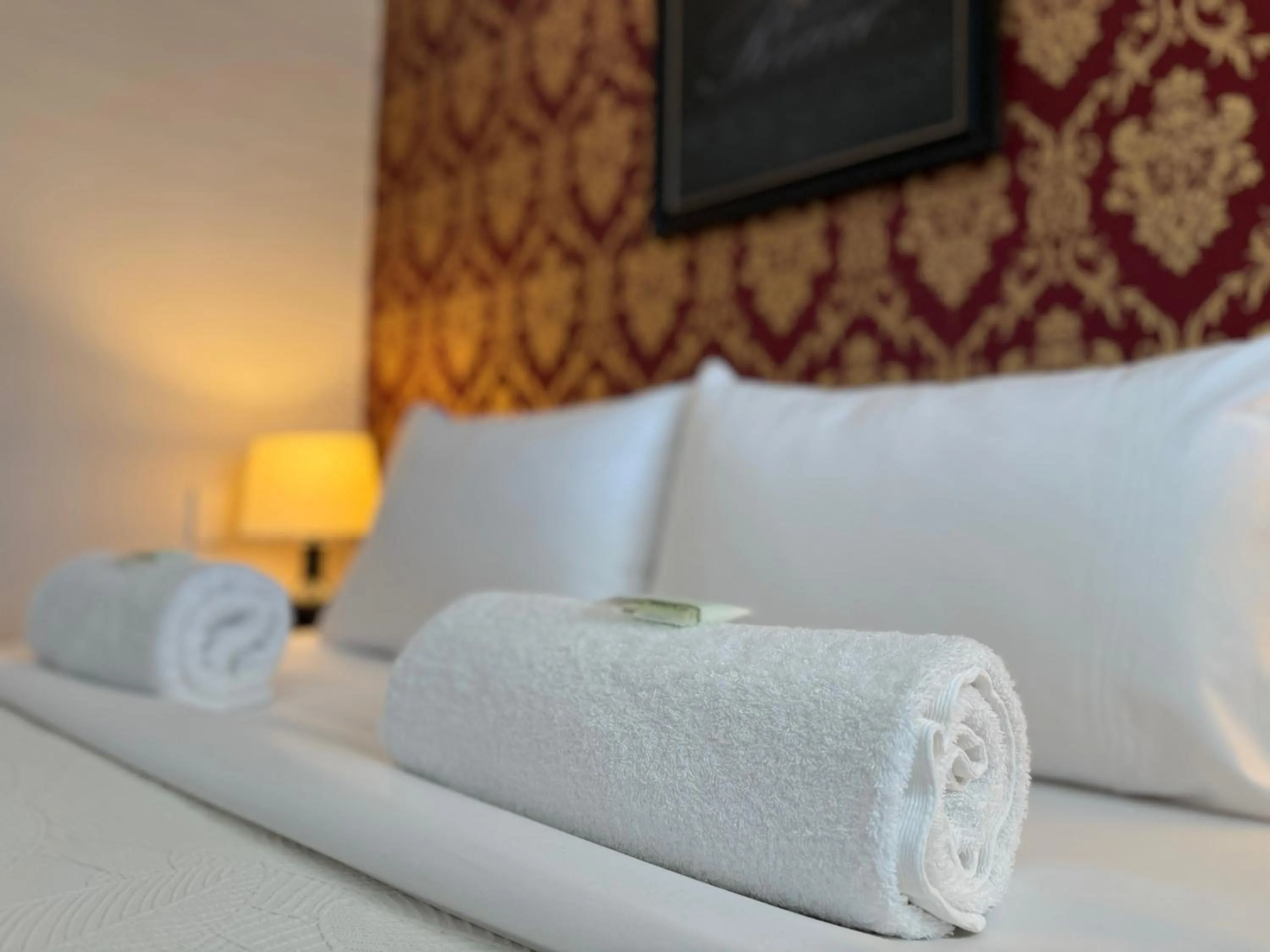 Bed in Ballina Travellers Lodge