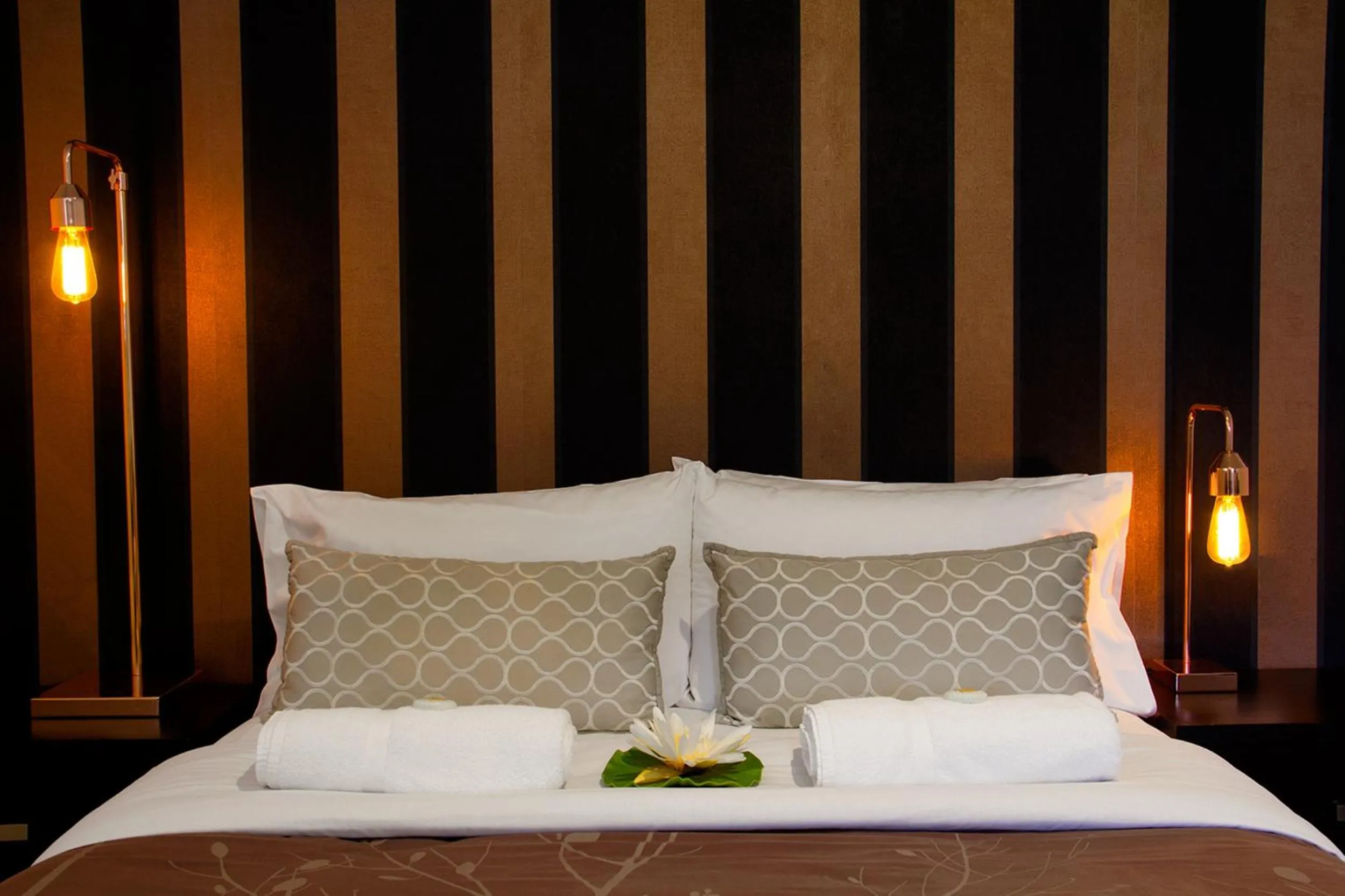 Bed in Ballina Travellers Lodge