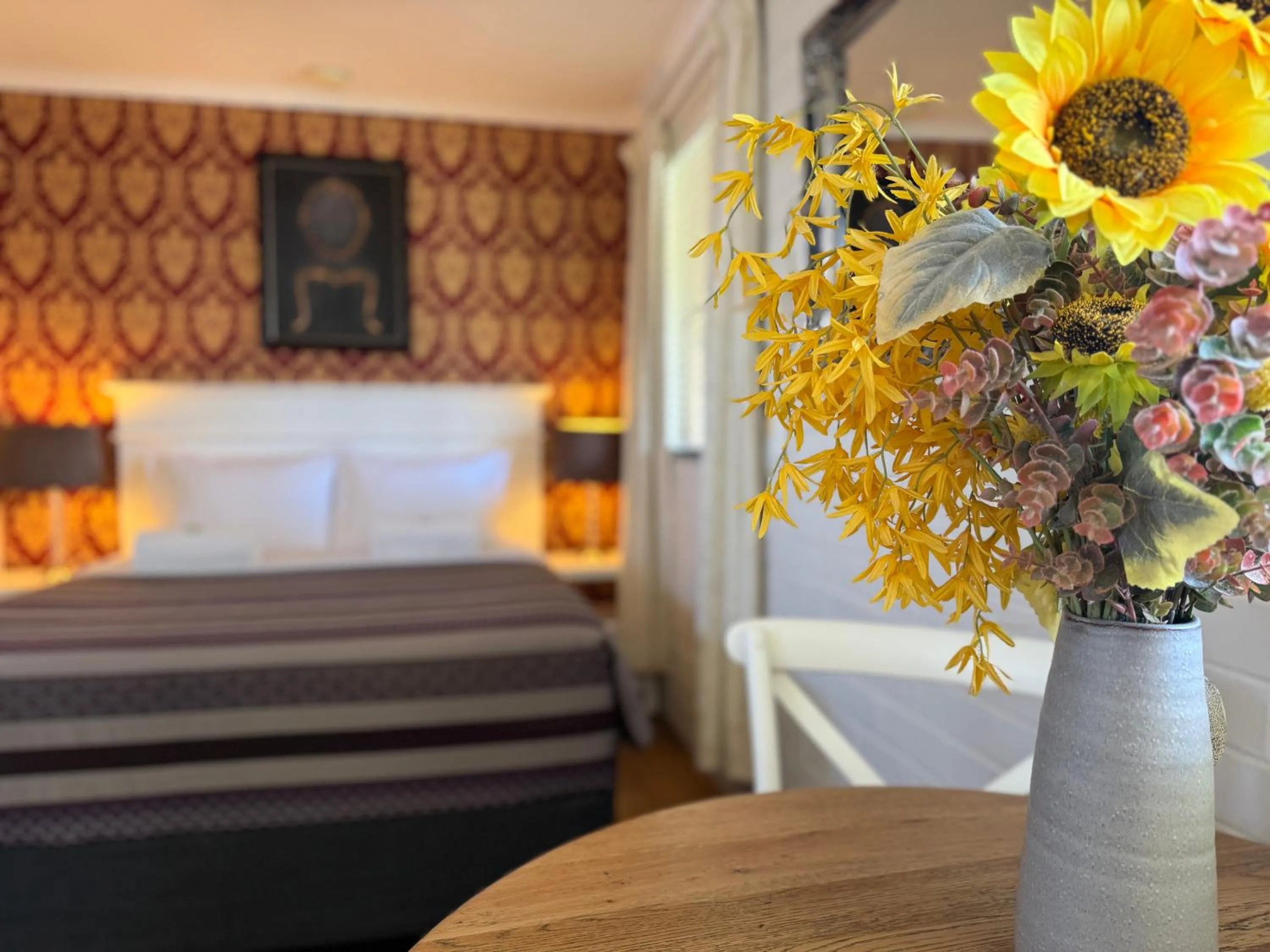 Bed in Ballina Travellers Lodge