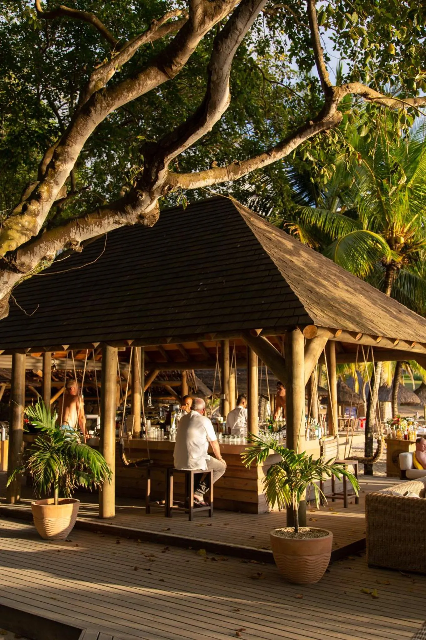 Lounge or bar in The Ravenala Attitude