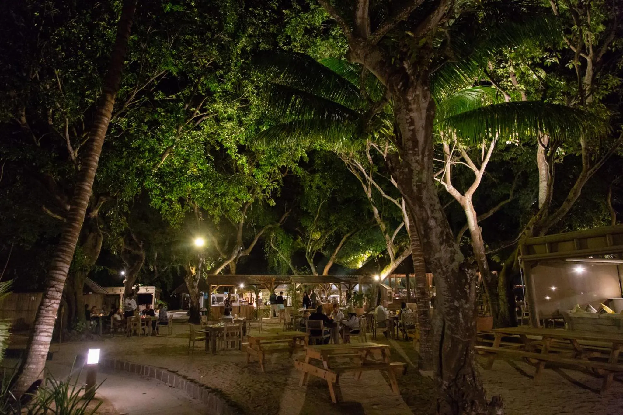 Night in The Ravenala Attitude