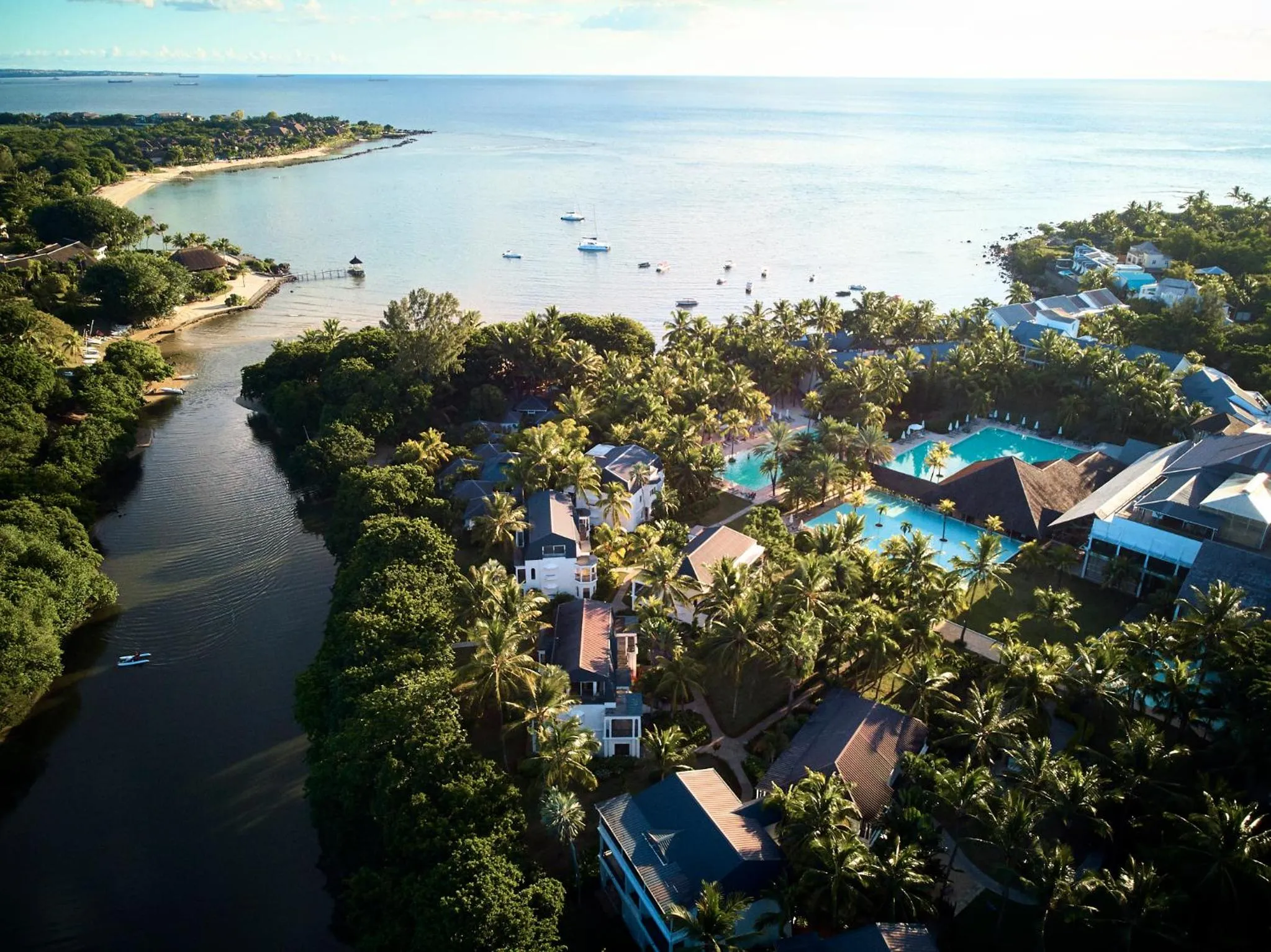 Bird's eye view in The Ravenala Attitude