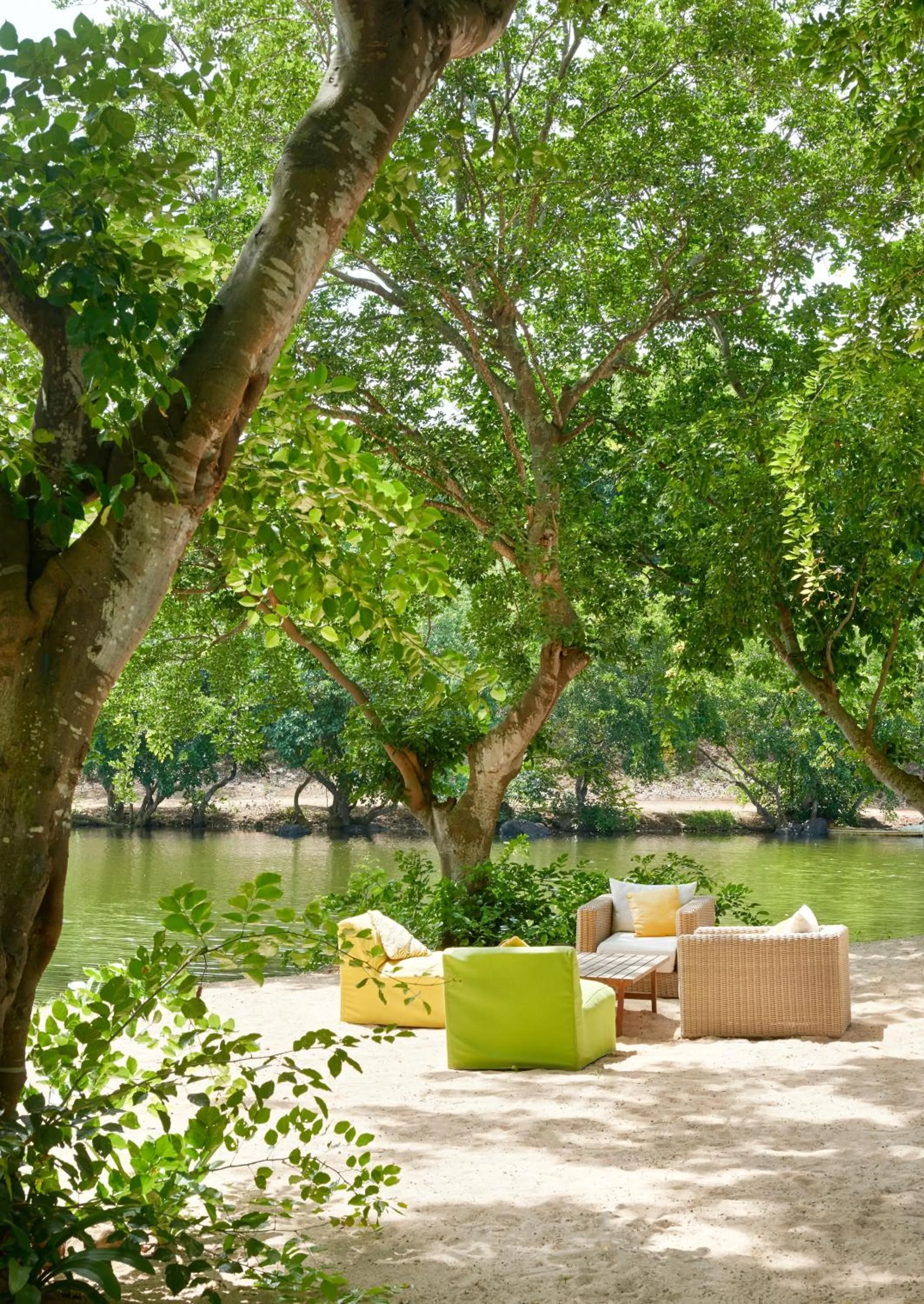 Garden in The Ravenala Attitude