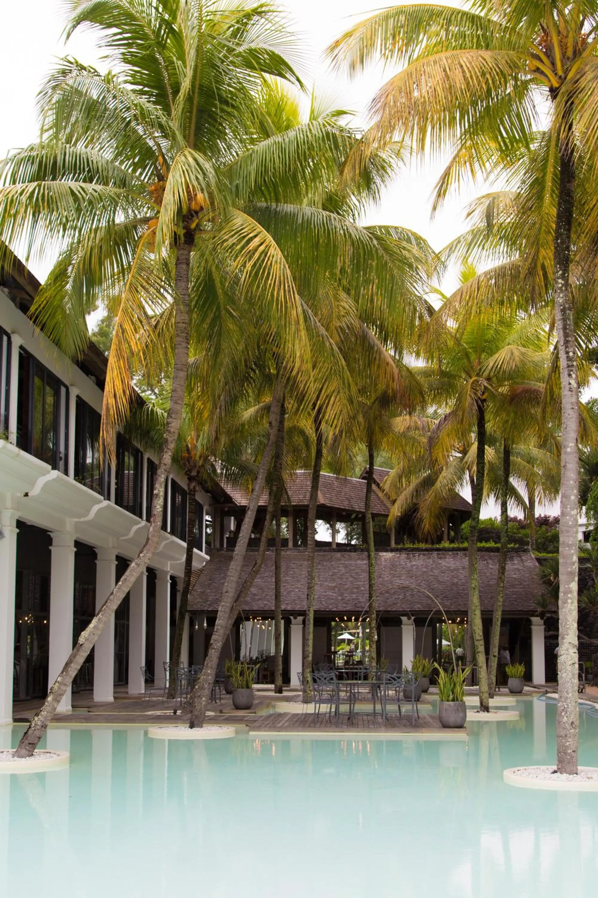 Pool view in The Ravenala Attitude