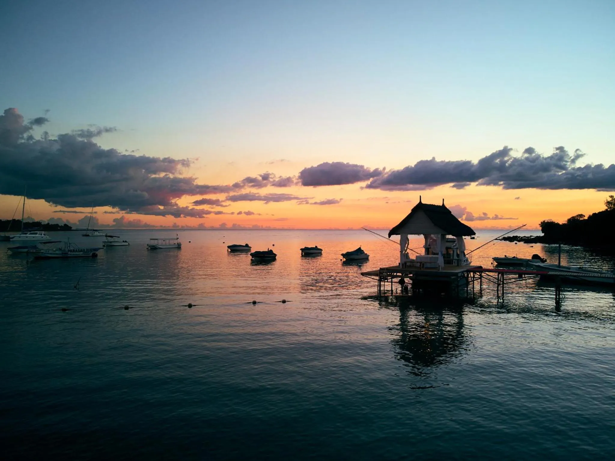 Natural landscape in The Ravenala Attitude