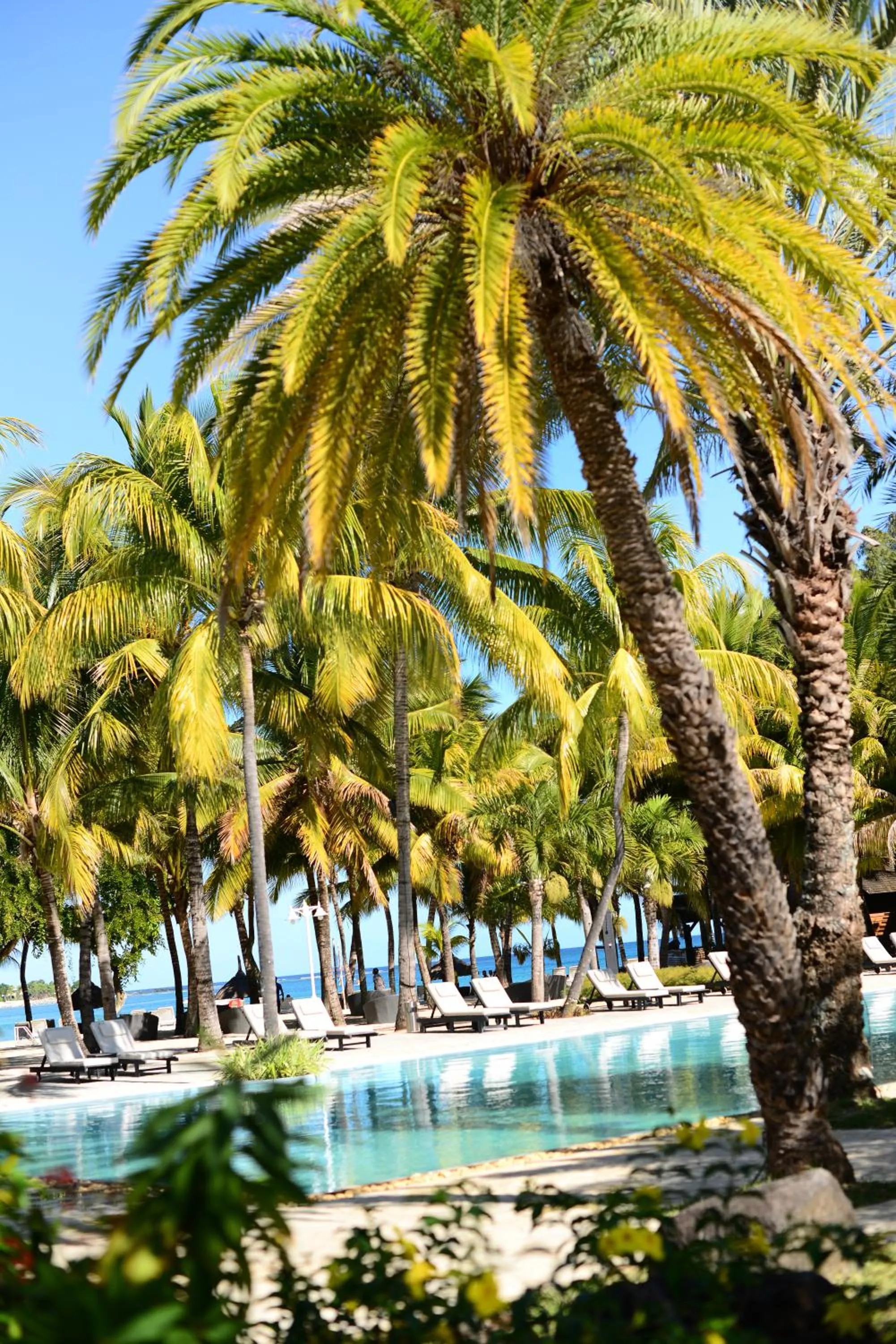 Pool view in The Ravenala Attitude