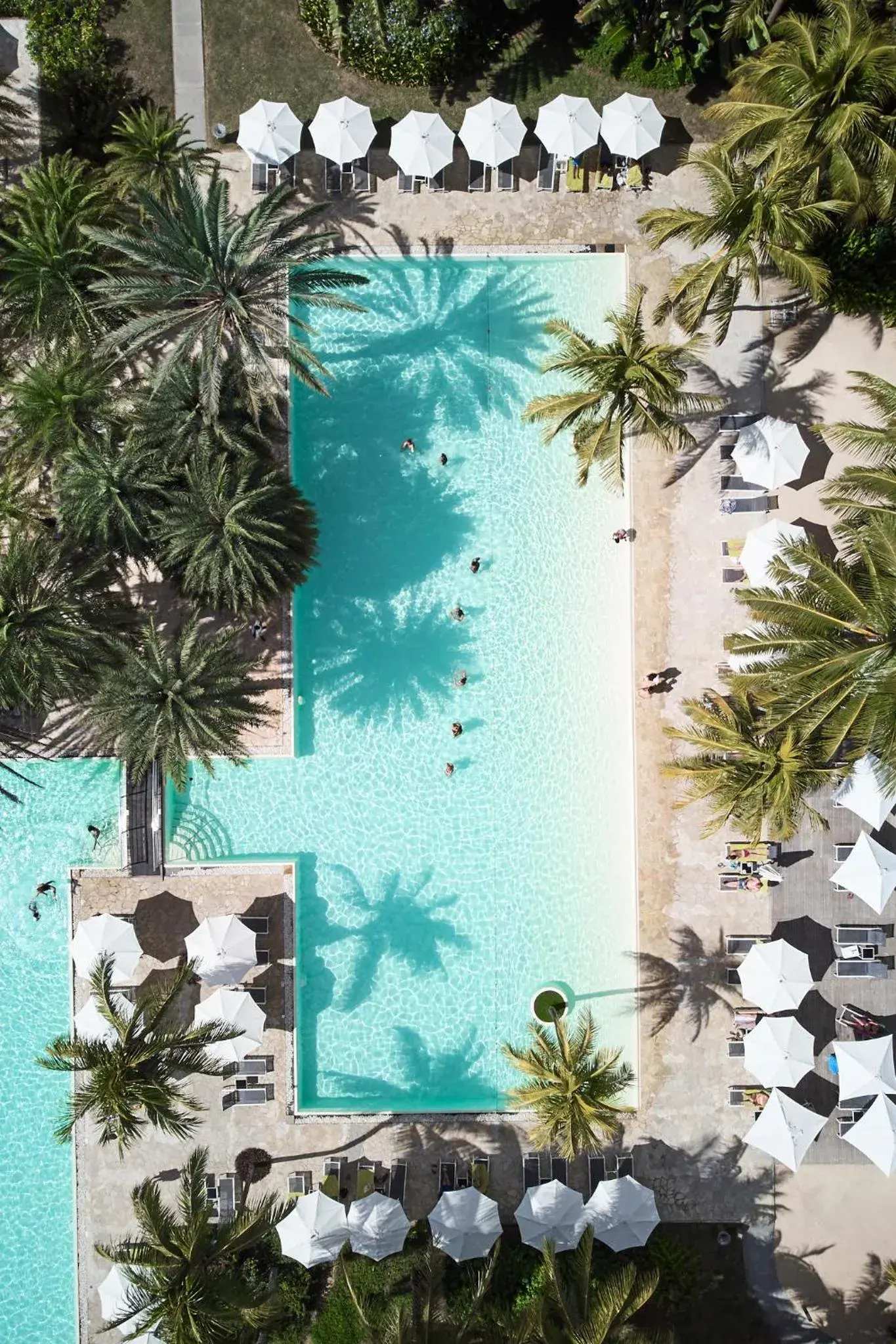 Pool view in The Ravenala Attitude Pool view in The Ravenala Attitude