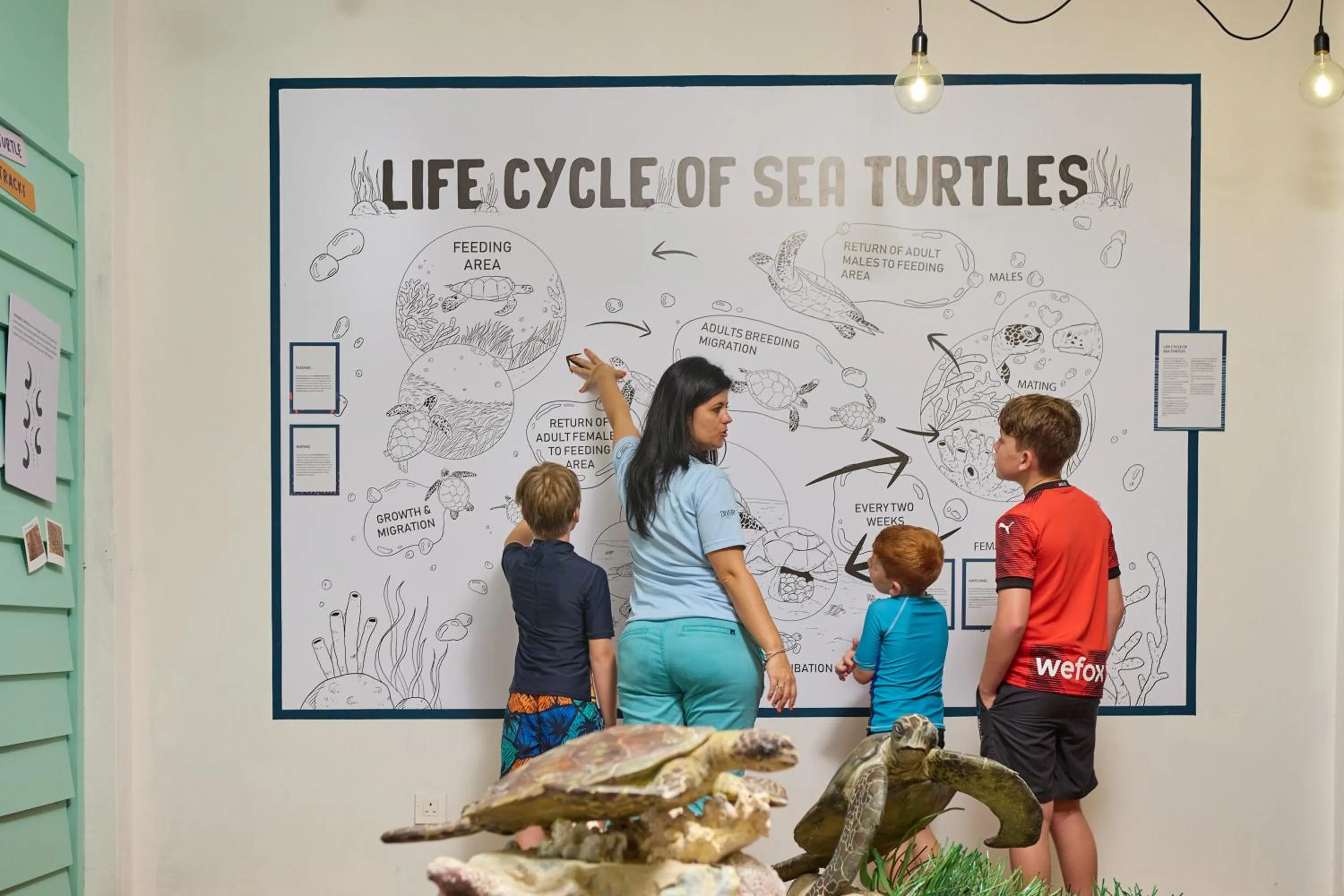 Activities in The Ravenala Attitude