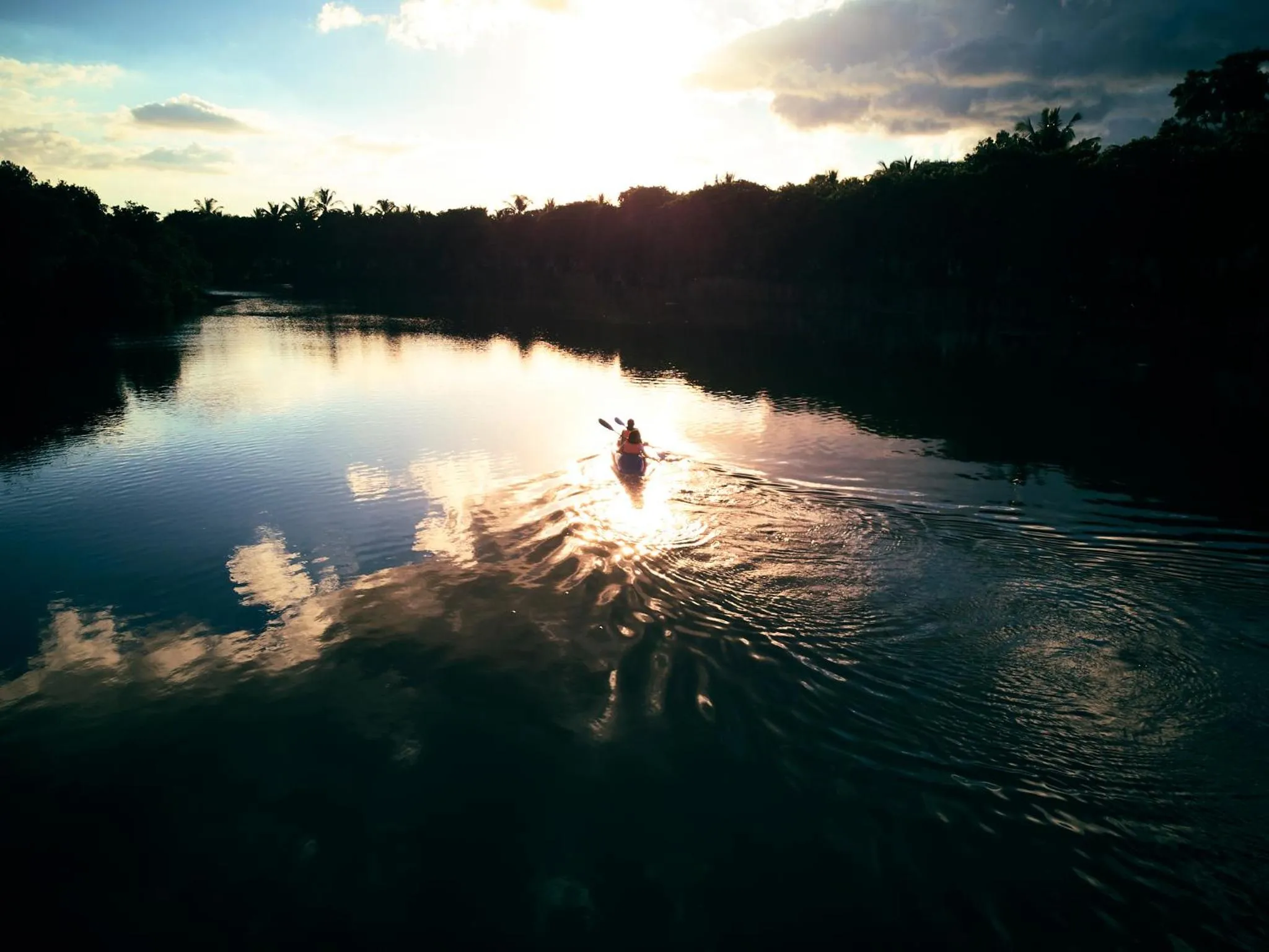 Natural landscape in The Ravenala Attitude