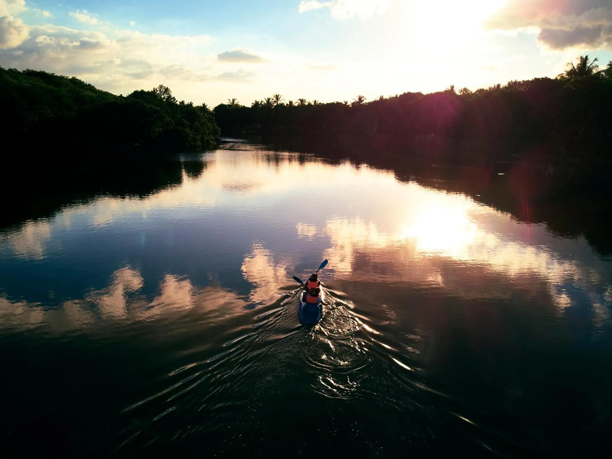 Natural landscape in The Ravenala Attitude