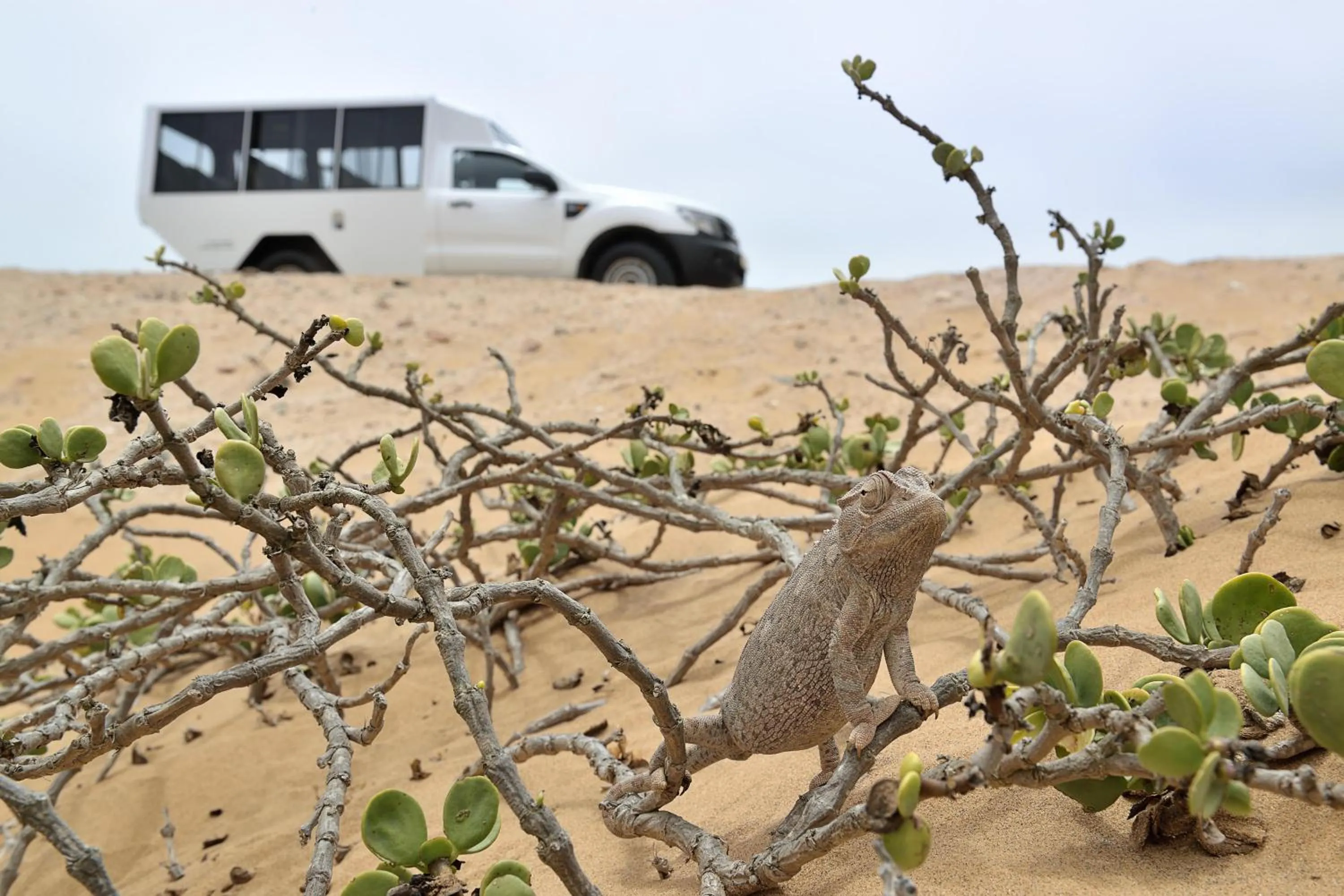 Activities in Swakopmund Hotel & Entertainment Centre