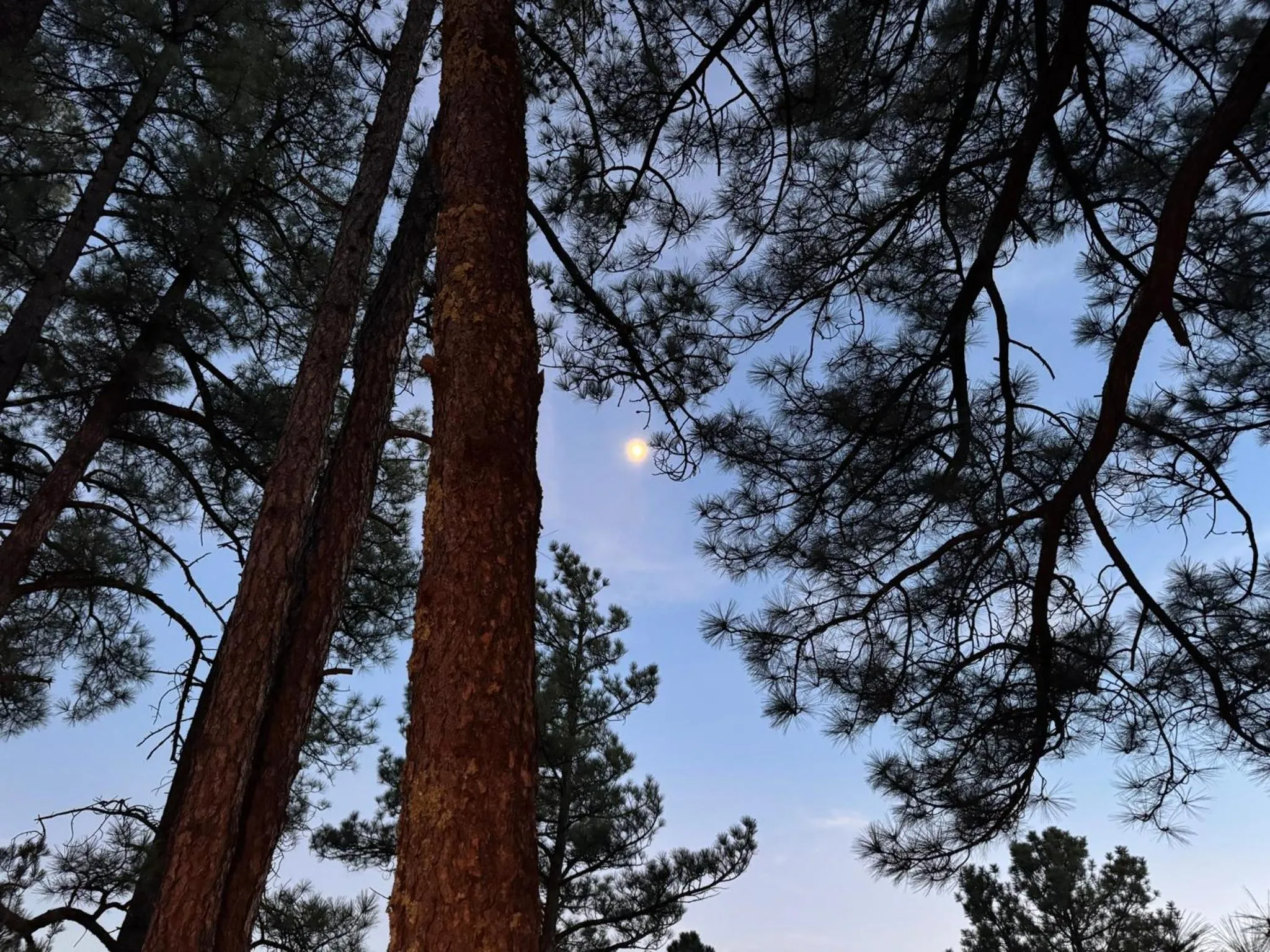 Natural landscape in Gonzales Cozy Little Bear Cabin