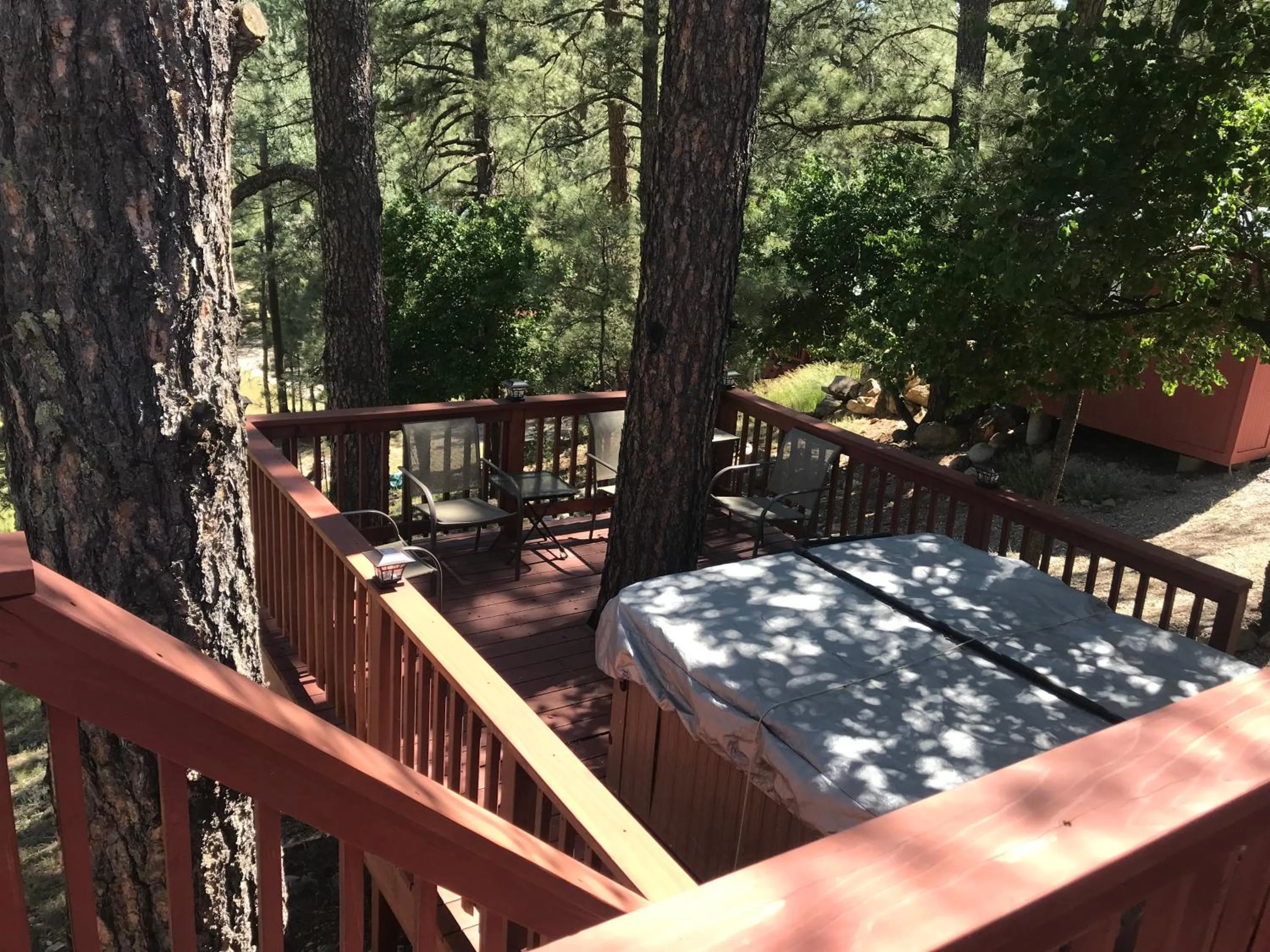 View (from property/room) in Gonzales Cozy Little Bear Cabin