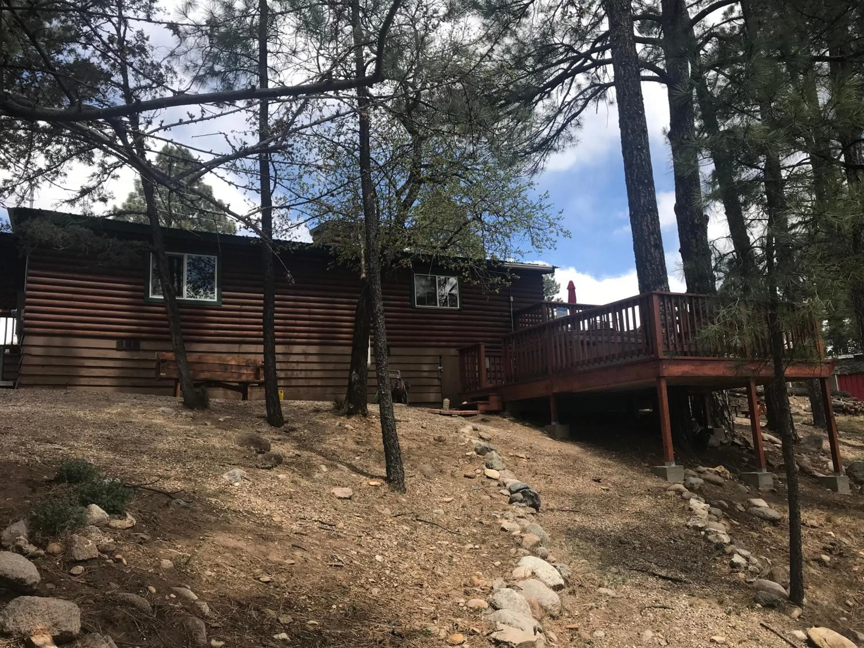 Property building in Gonzales Cozy Little Bear Cabin