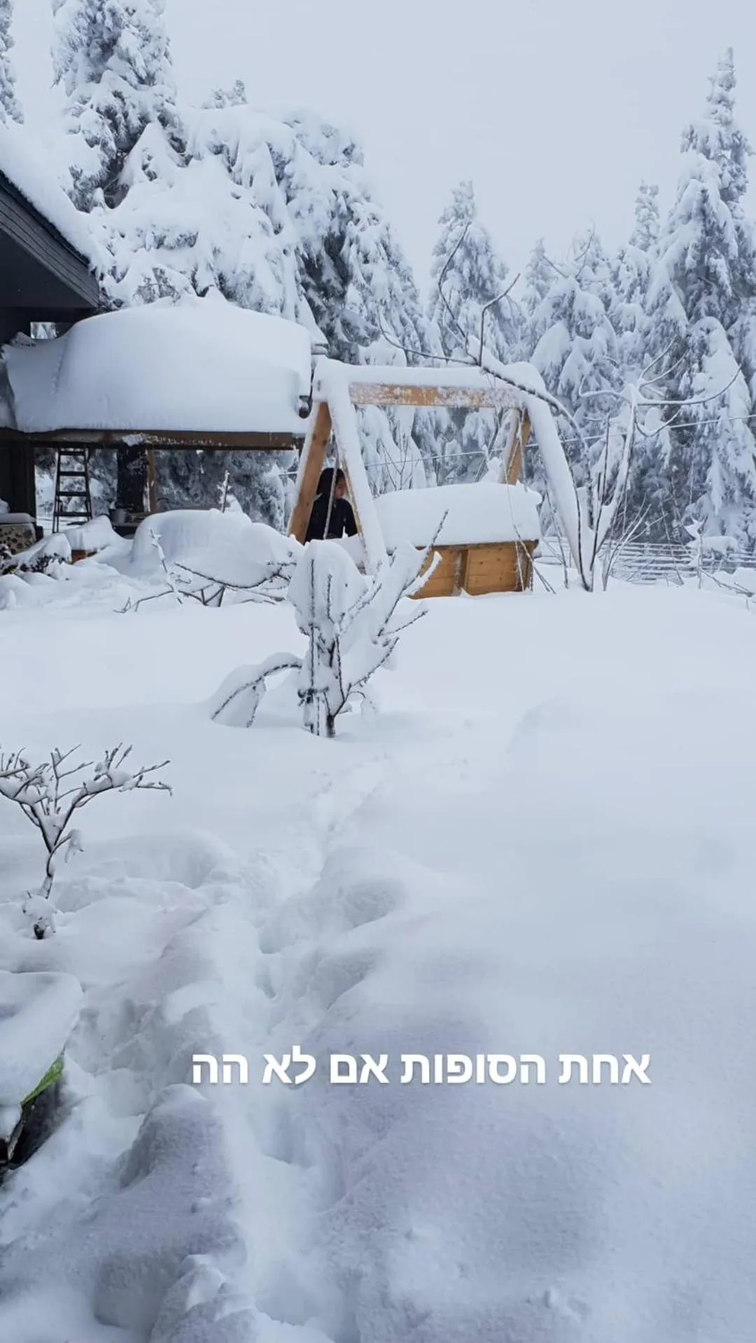 Gate Away B&B Units - המקום באל רום