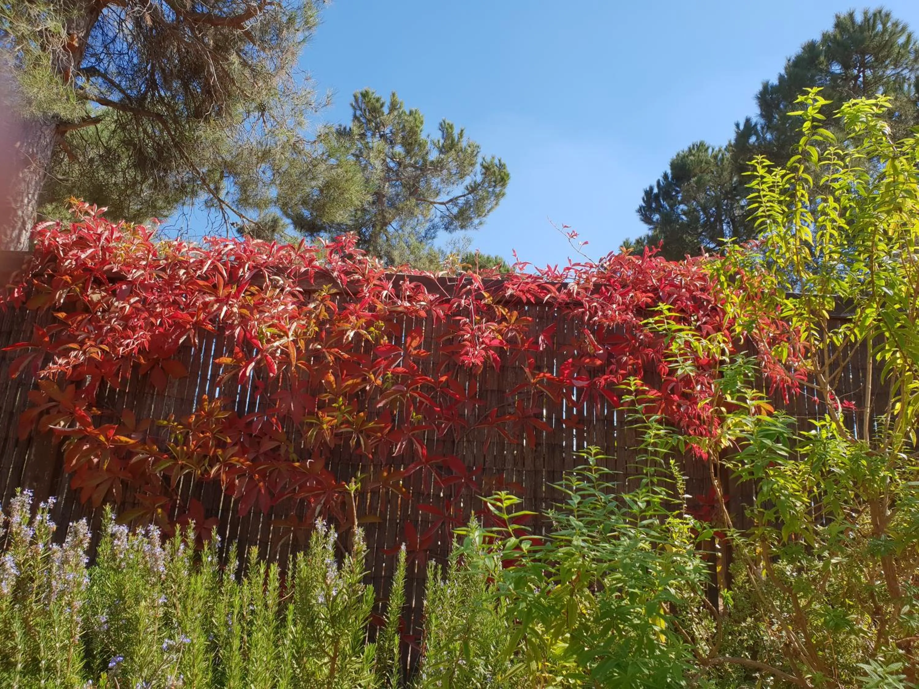 Gate Away B&B Units - המקום באל רום