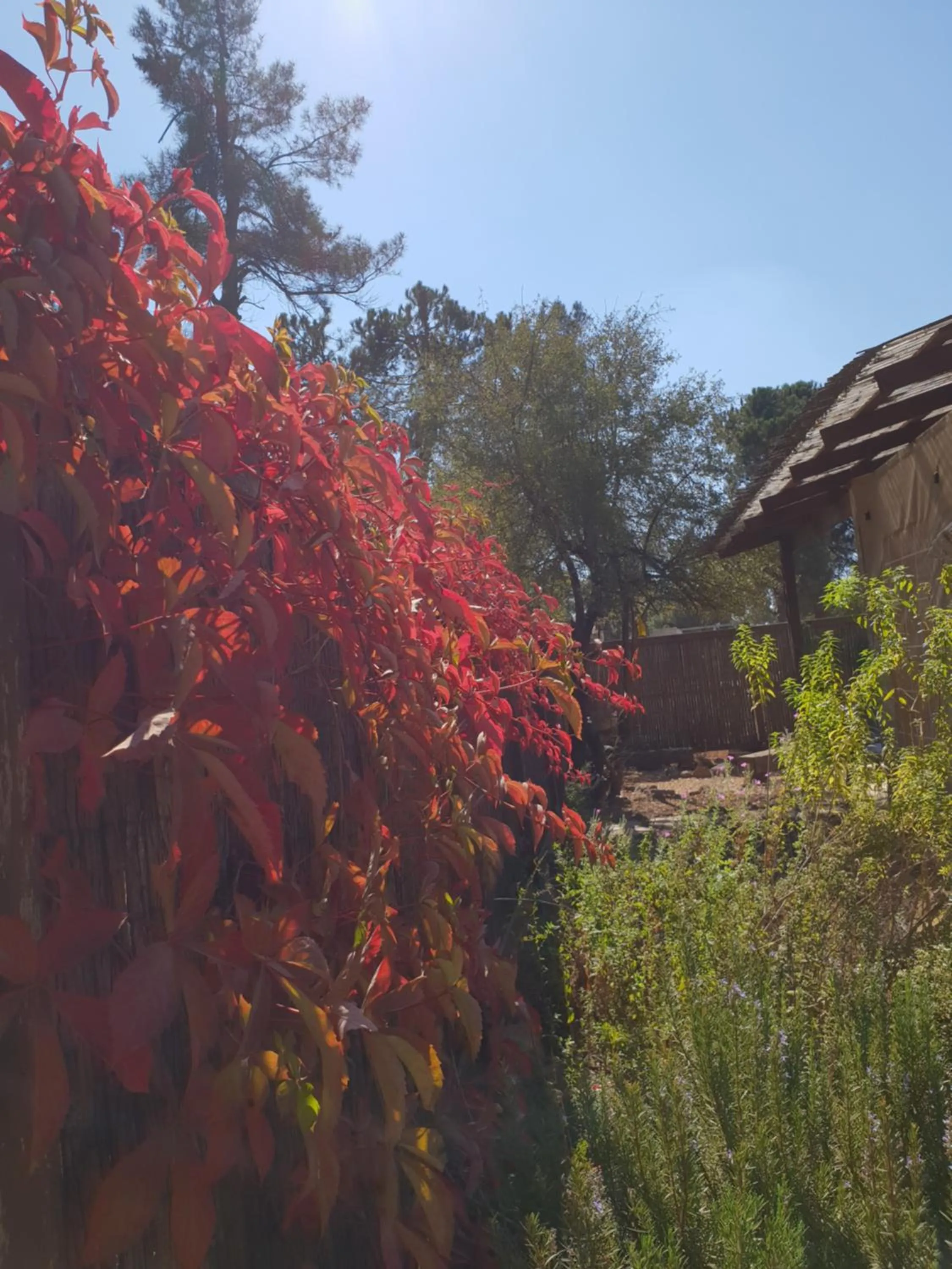 Gate Away B&B Units - המקום באל רום