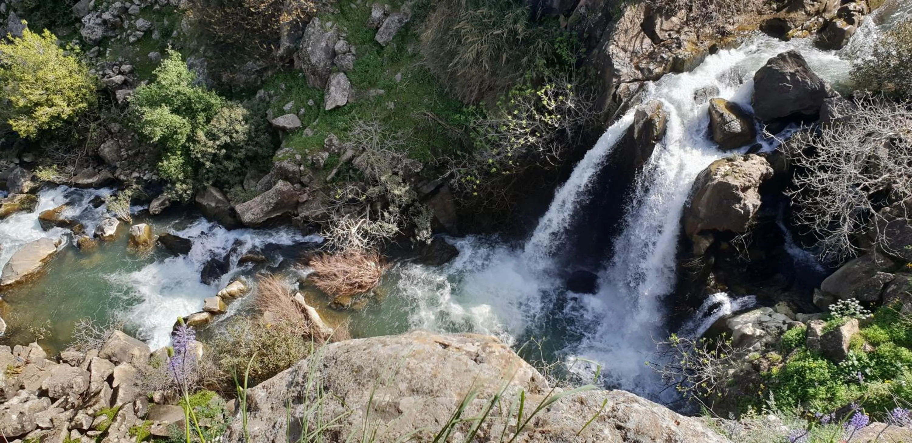 Hiking in Gate Away B&B Units - המקום באל רום