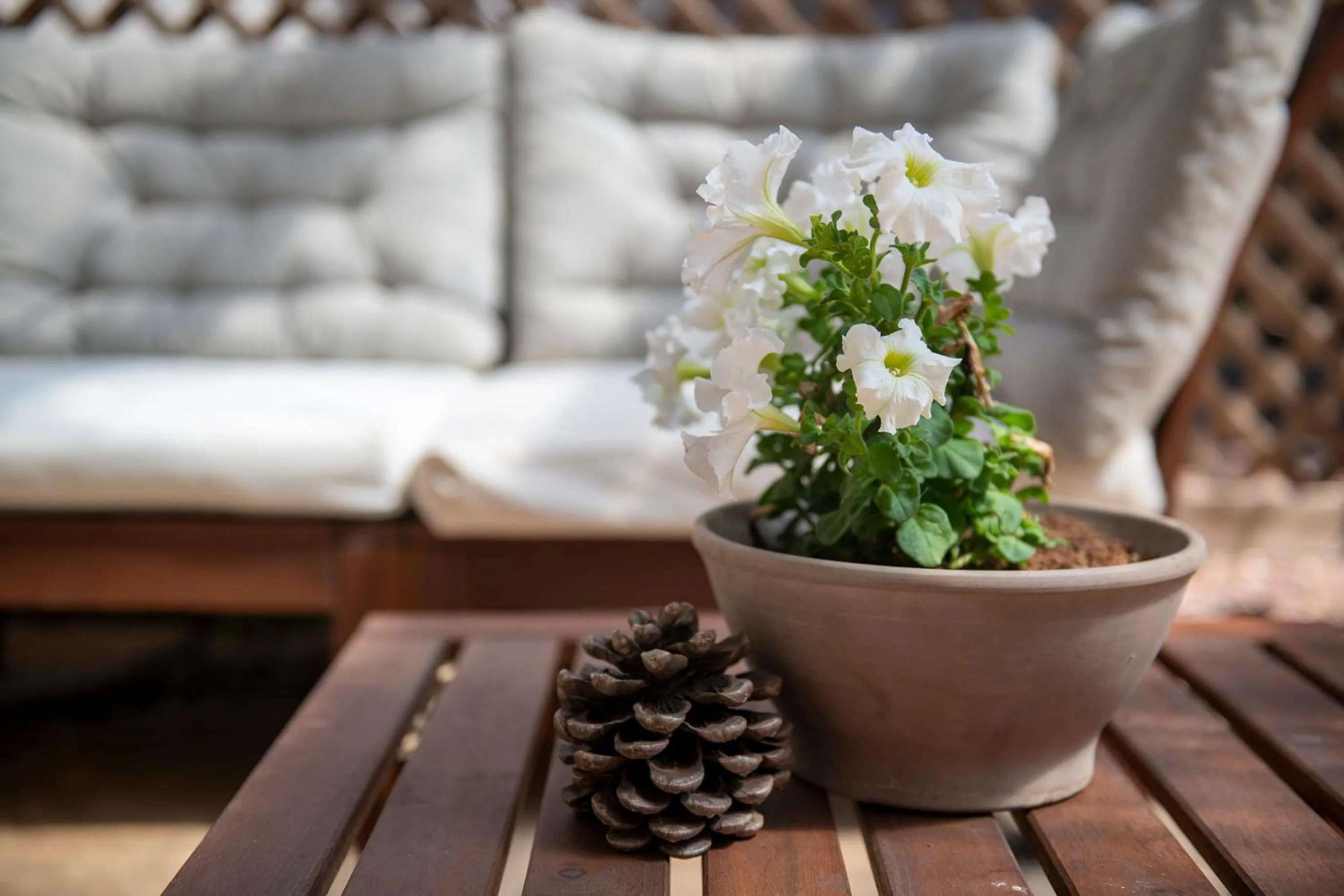 Gate Away B&B Units - המקום באל רום