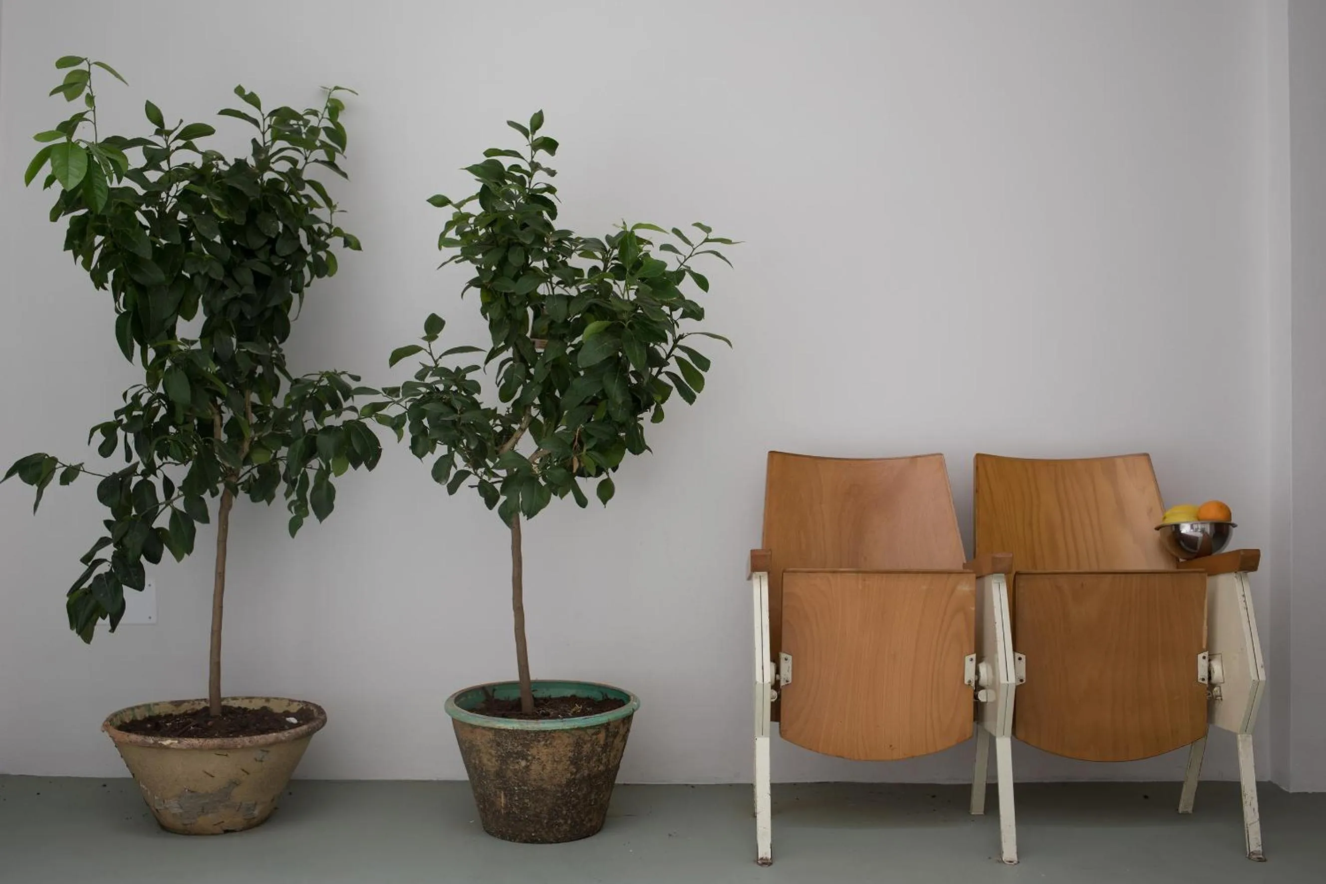 Lobby or reception in Senia_rooms_design