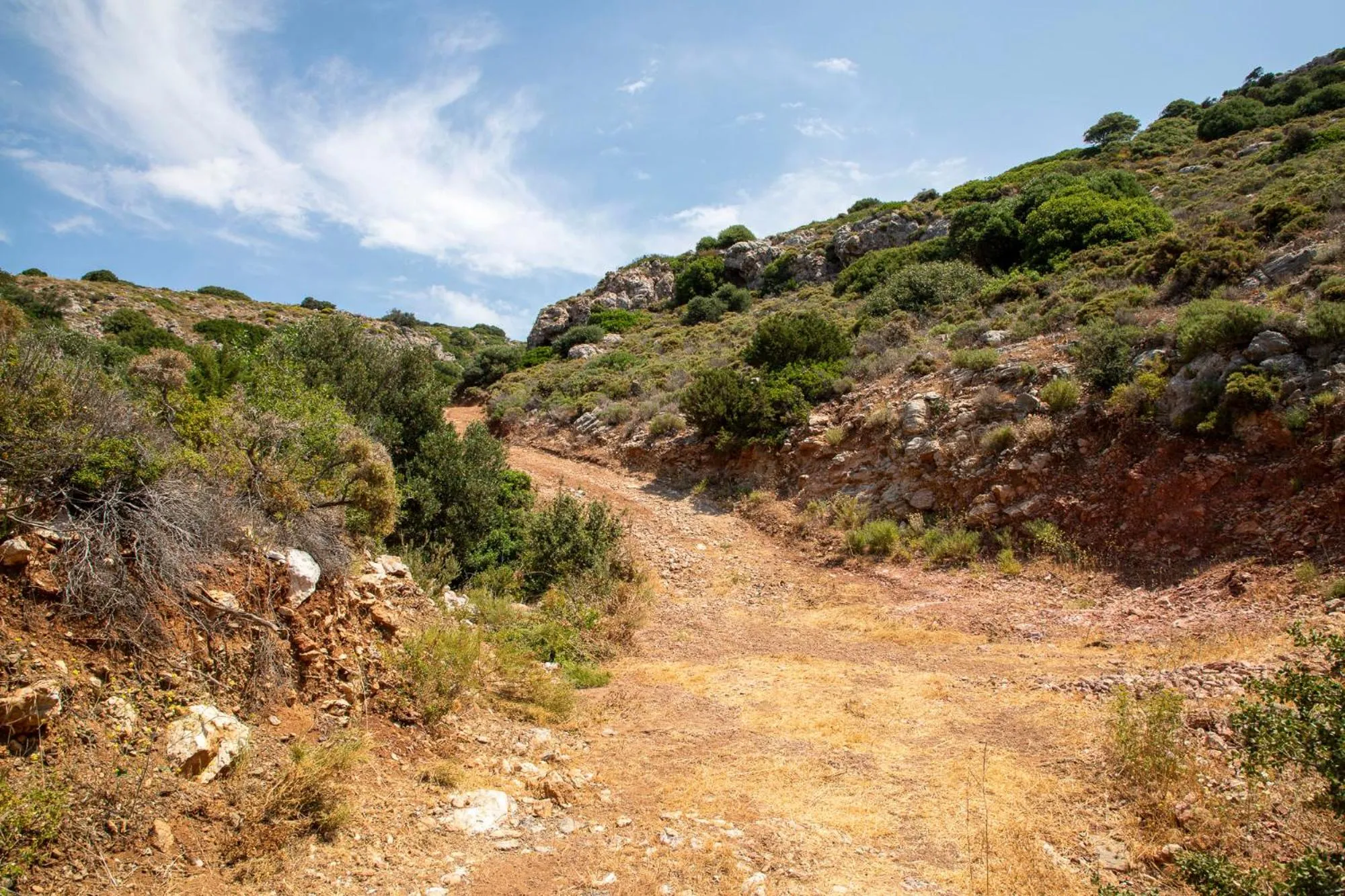 Natural landscape in Goknar Knidos Eco Hotel & Farm