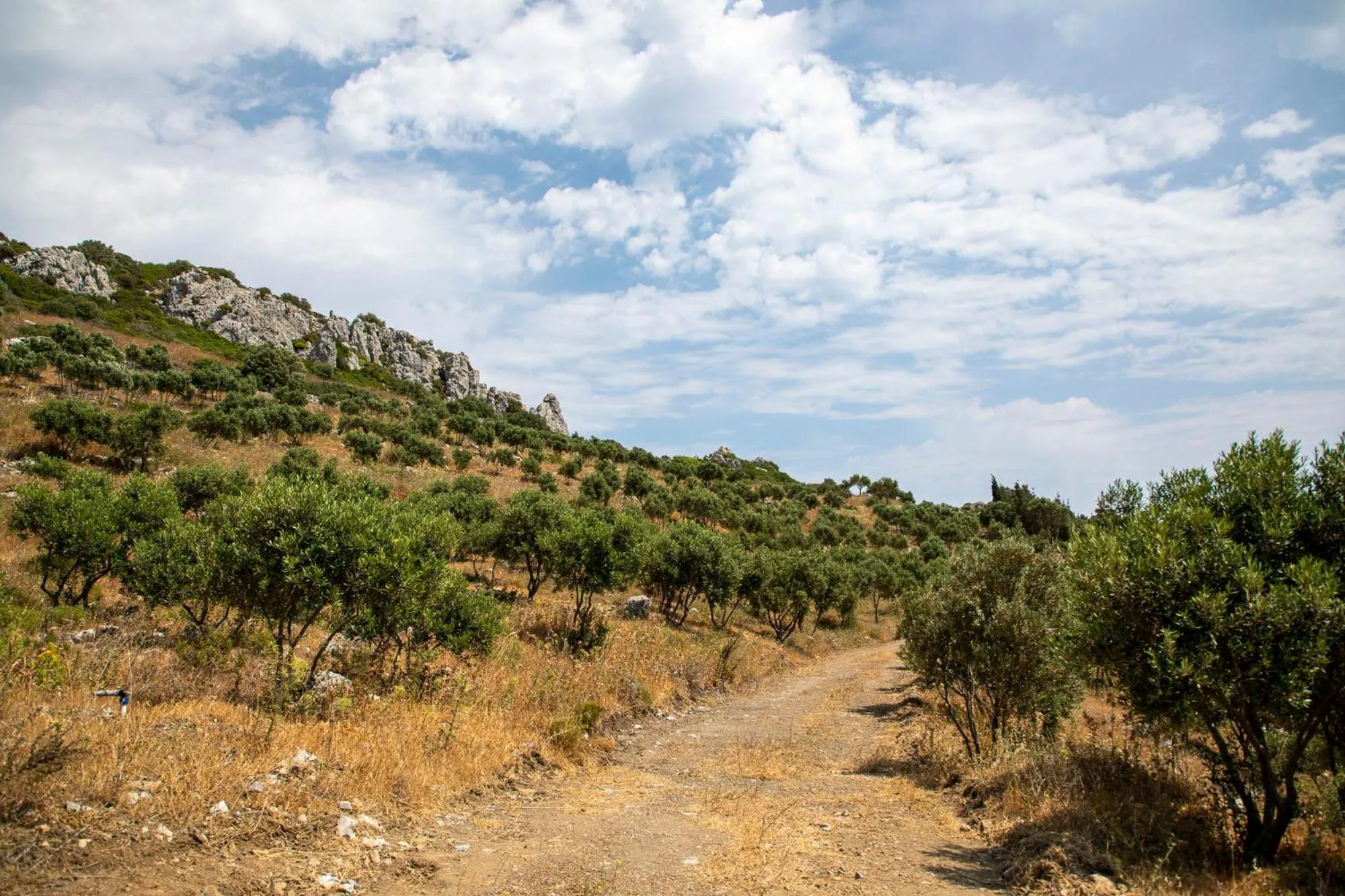 Garden in Goknar Knidos Eco Hotel & Farm