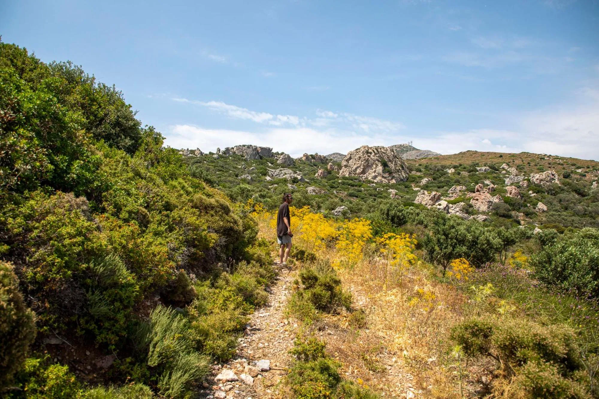 Garden in Goknar Knidos Eco Hotel & Farm