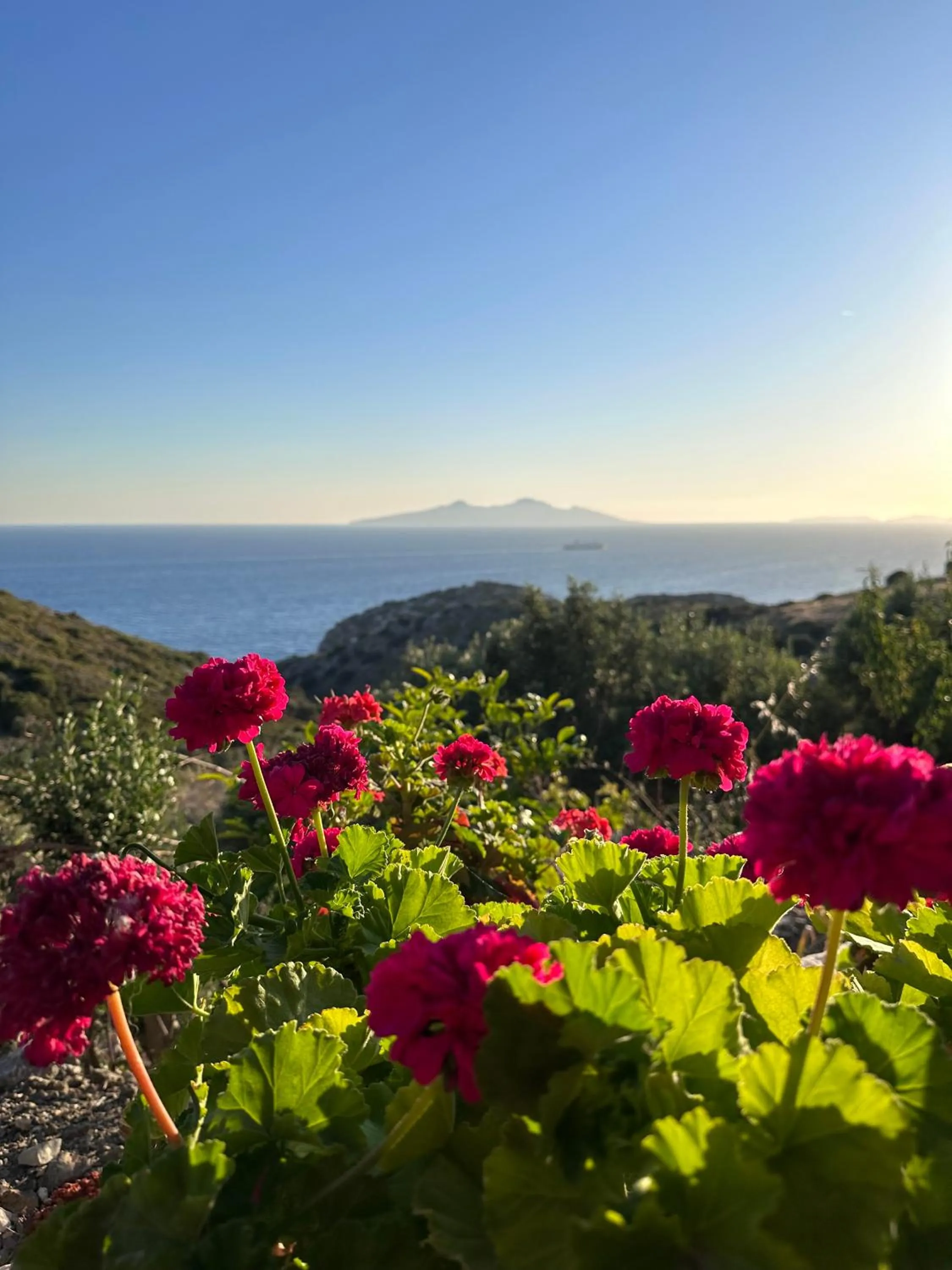 View (from property/room) in Goknar Knidos Eco Hotel & Farm