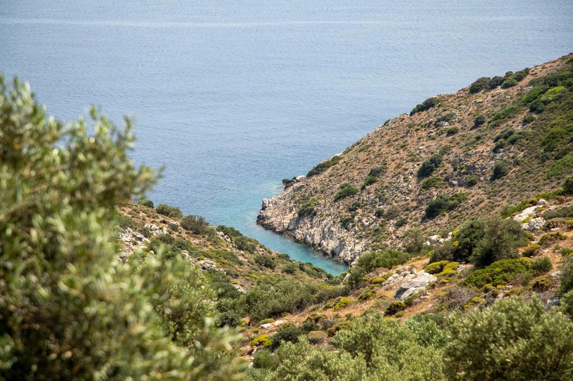 Natural landscape in Goknar Knidos Eco Hotel & Farm