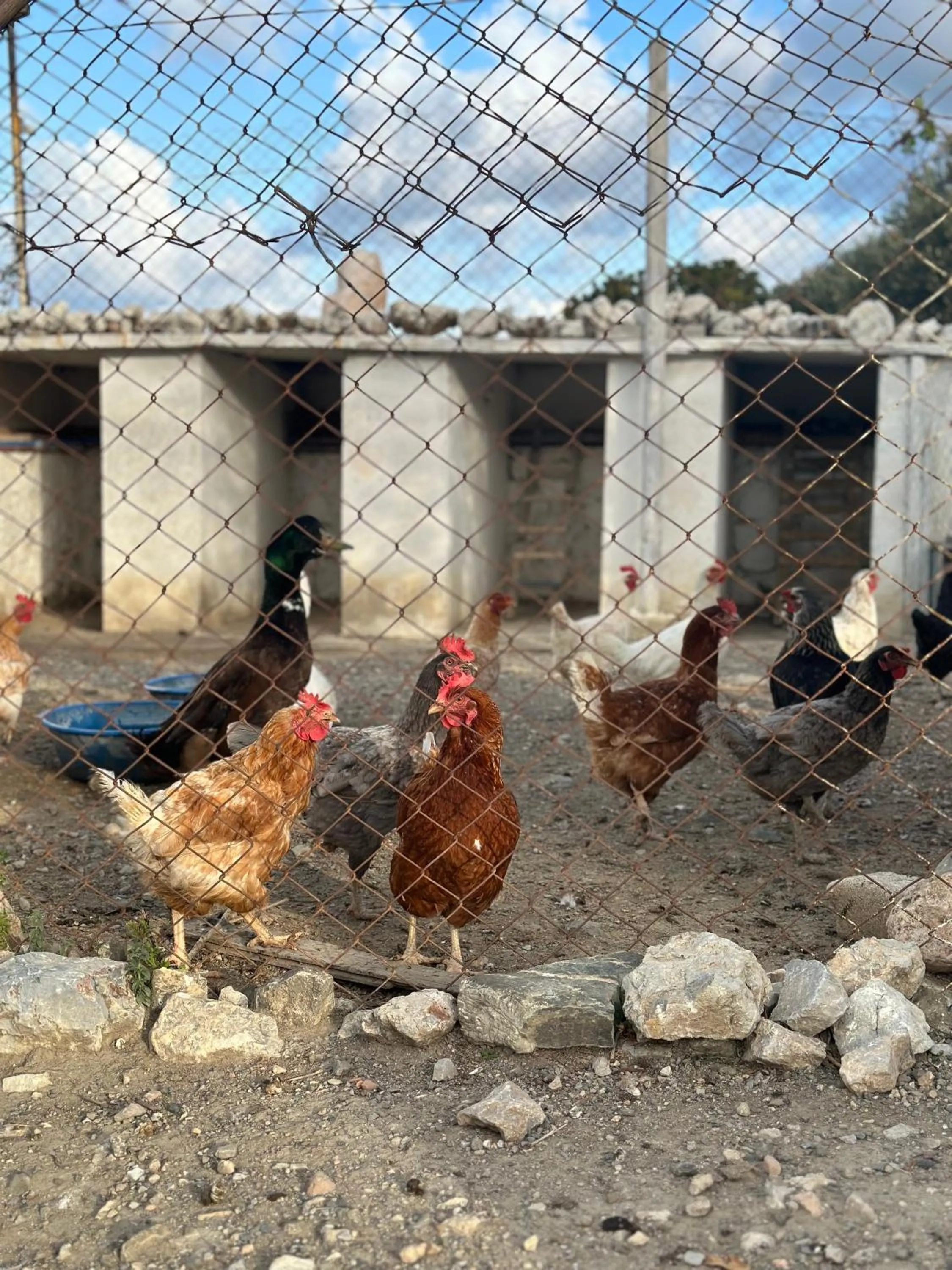 Day in Goknar Knidos Eco Hotel & Farm