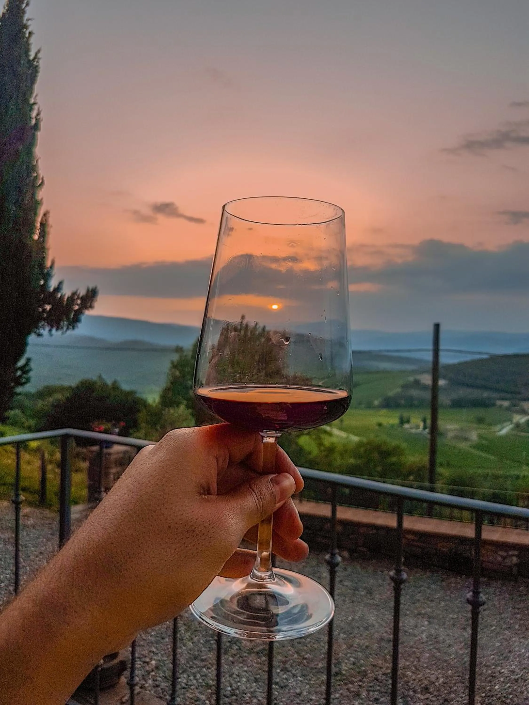 View (from property/room) in il burellino