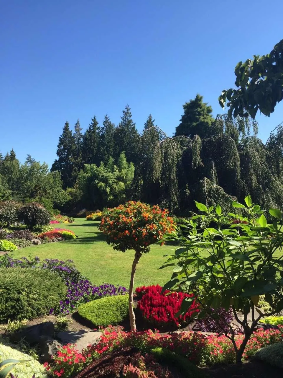 The Sunshine House-Free Parking