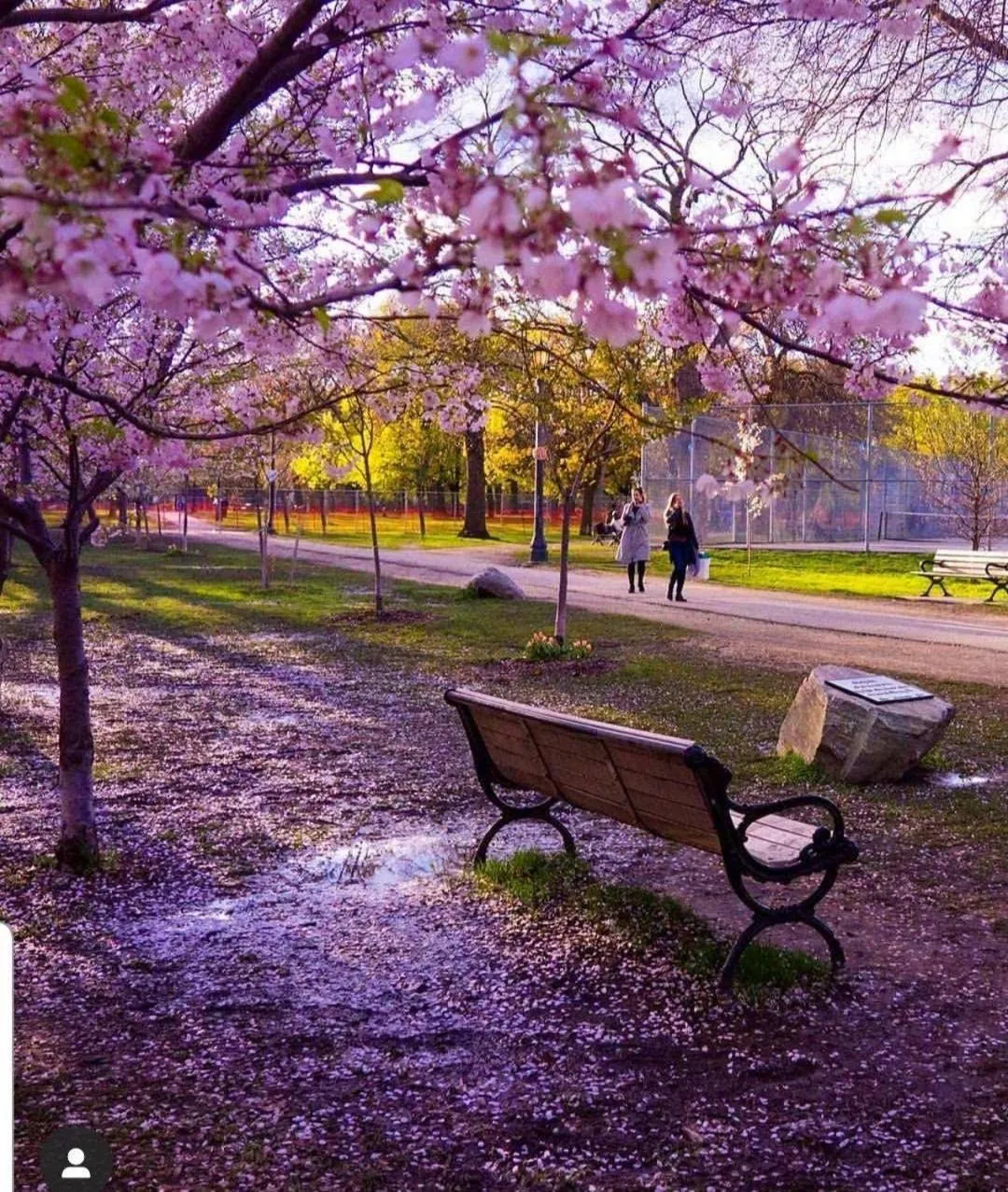 The Sunshine House-Free Parking