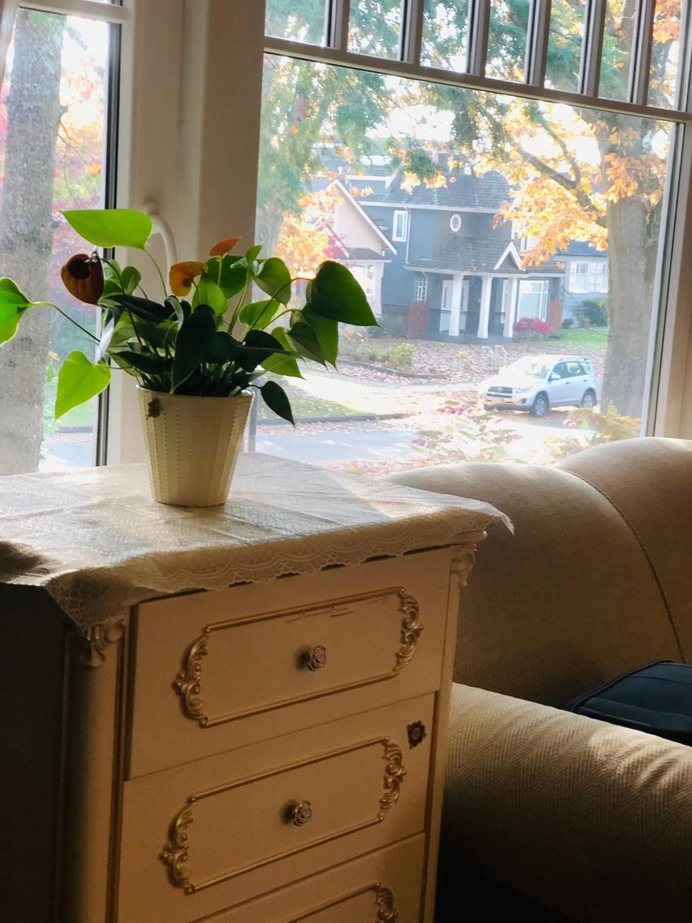 The Sunshine House-Free Parking