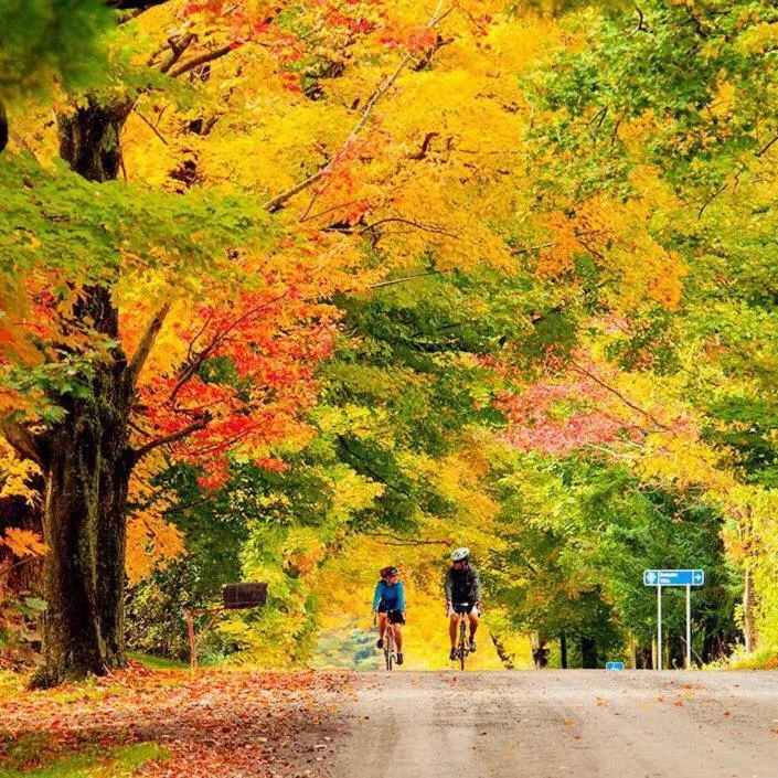 The Sunshine House-Free Parking