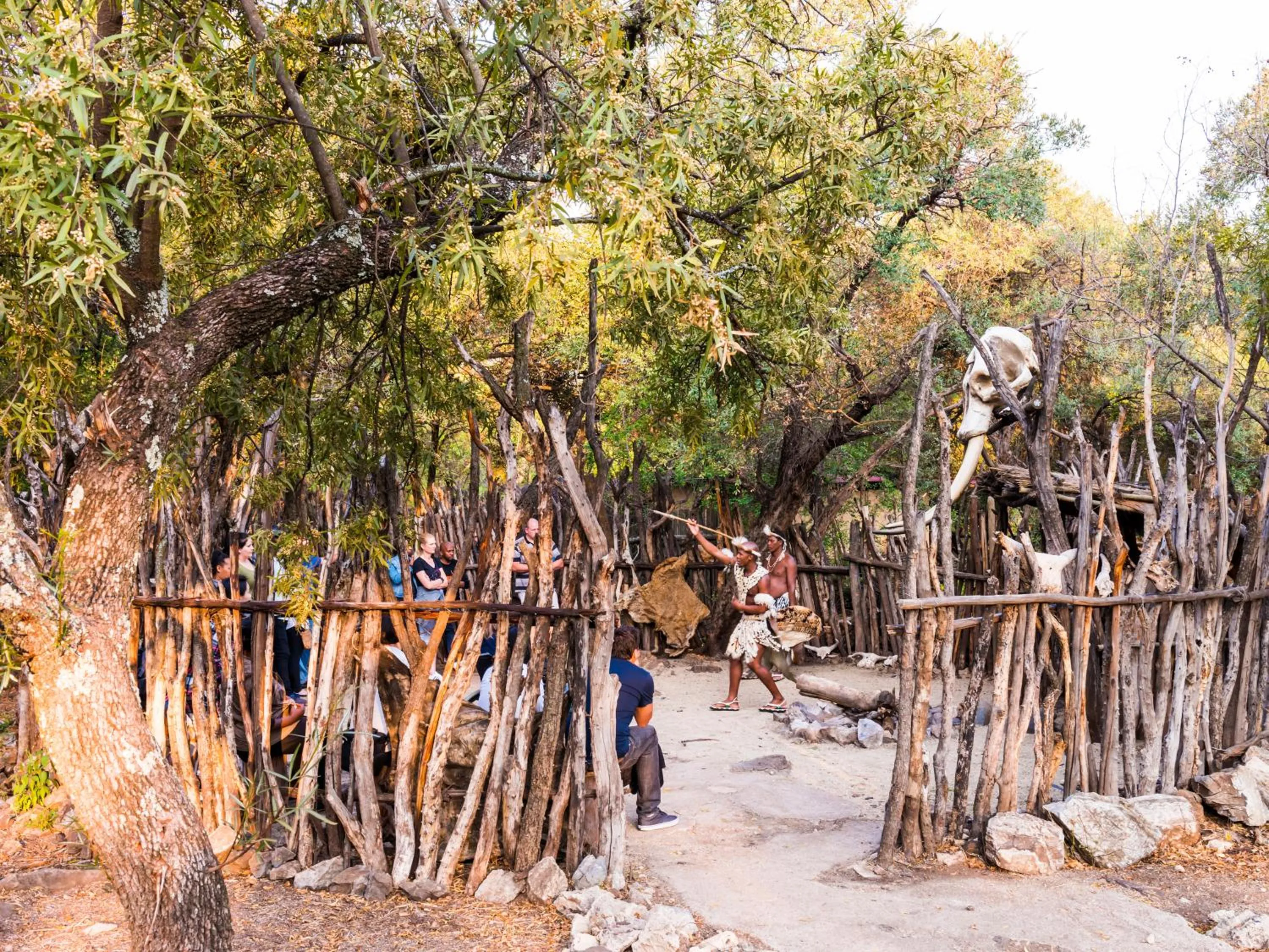 Activities in aha Lesedi African Lodge & Cultural Village