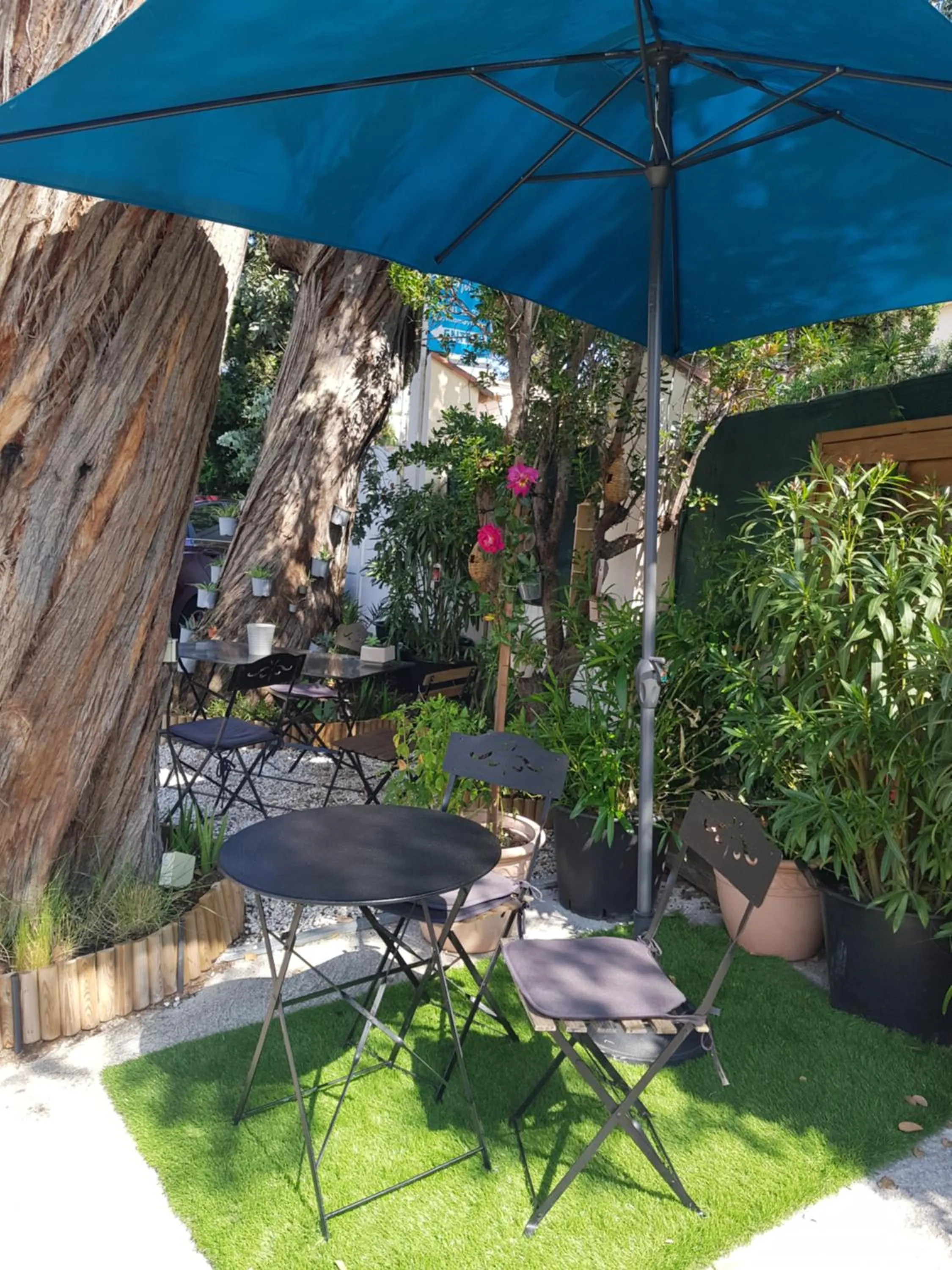 Garden in Hôtel Villa Maya - Golfe de Saint-Tropez