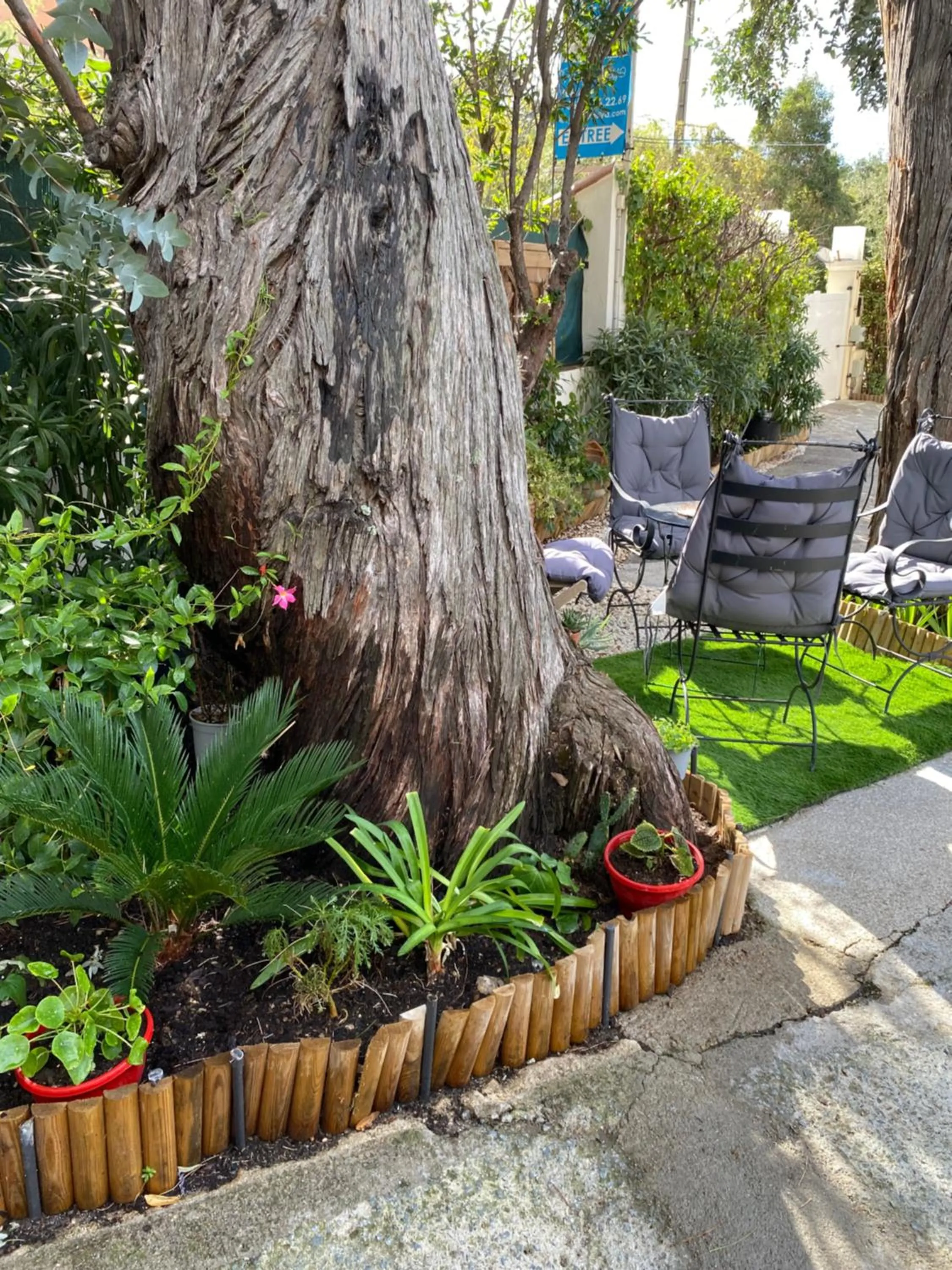 Garden in Hôtel Villa Maya - Golfe de Saint-Tropez