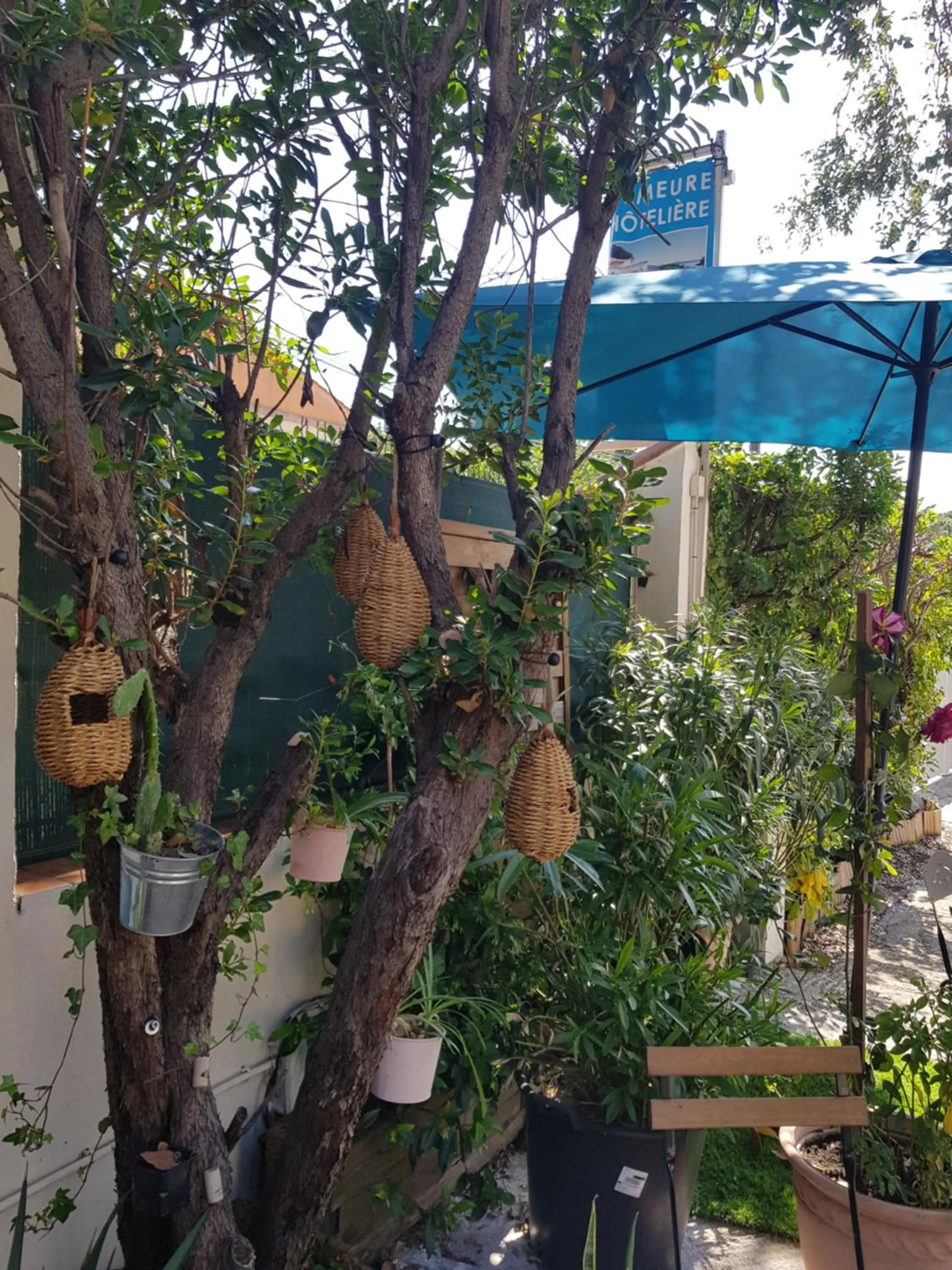 Garden in Hôtel Villa Maya - Golfe de Saint-Tropez