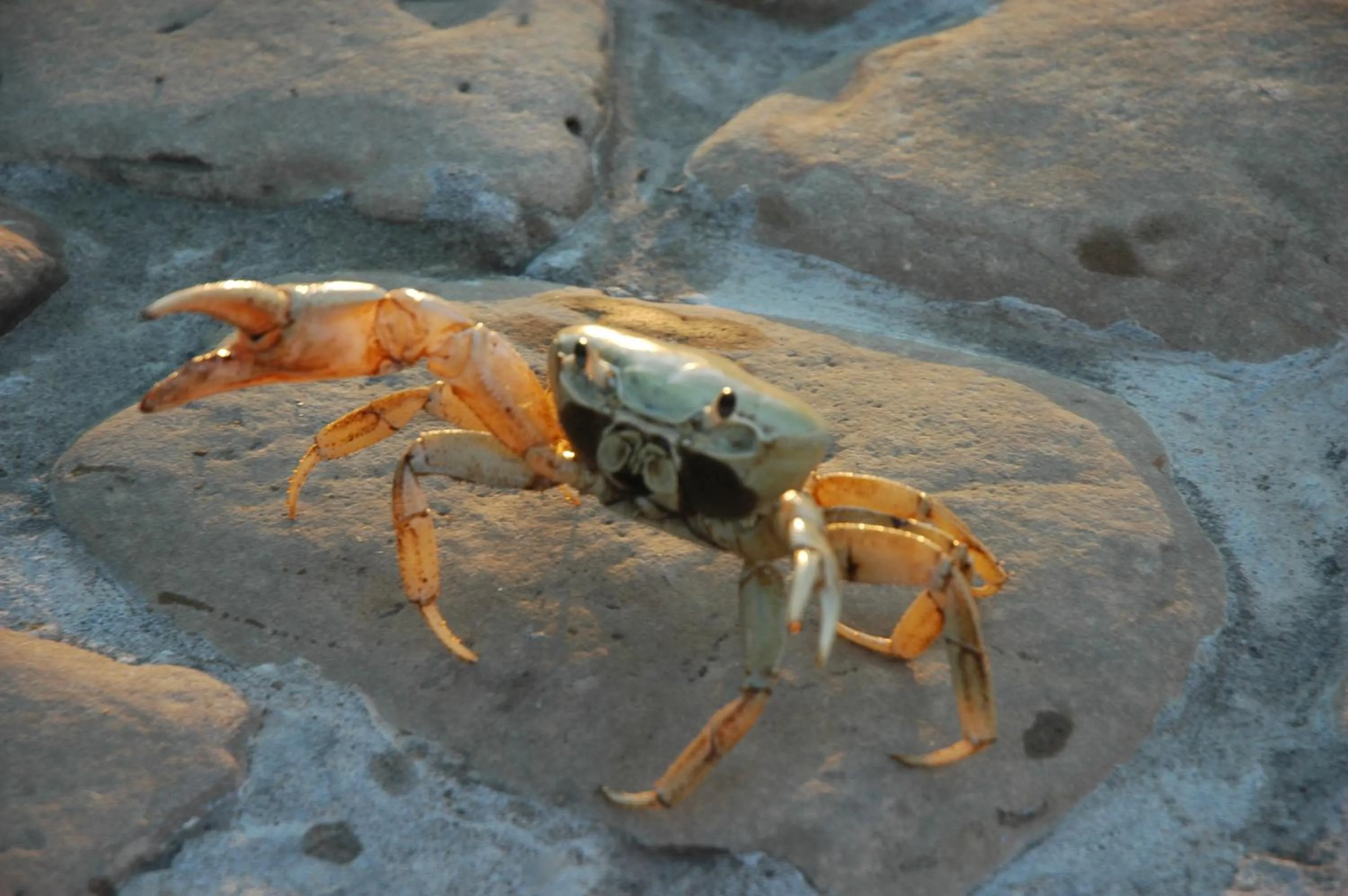 Day in Hotel Istirinchá