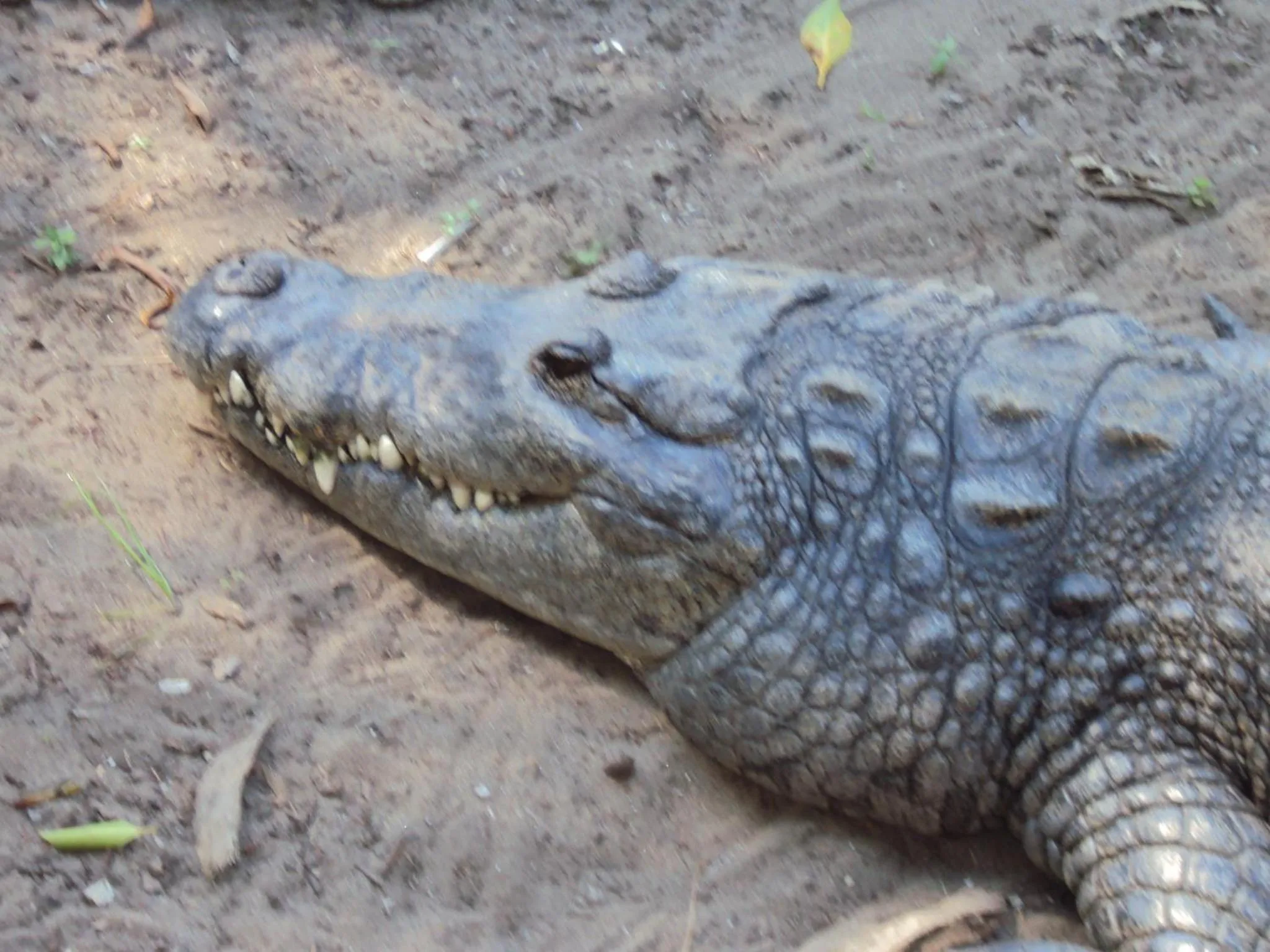 Day in Hotel Istirinchá