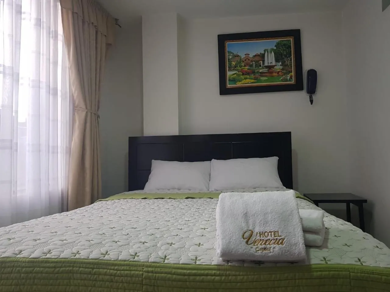 Single Room in Hotel Venecia Confort