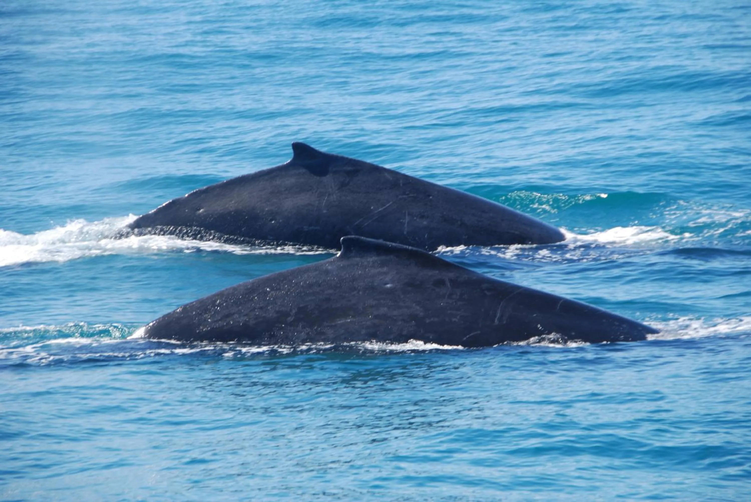 Off site in Mata N'ativa Pousada