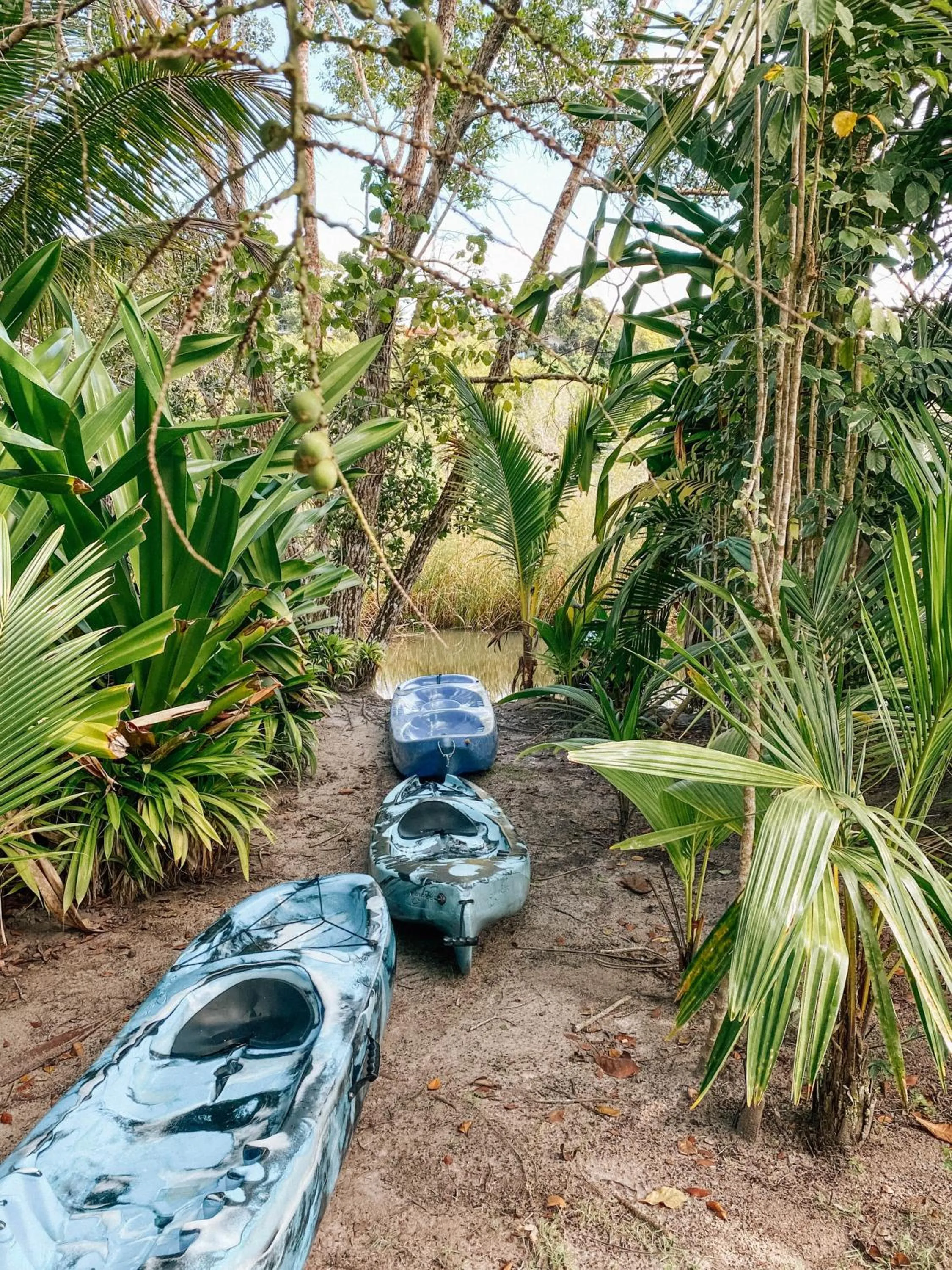 Spring in Mata N'ativa Pousada