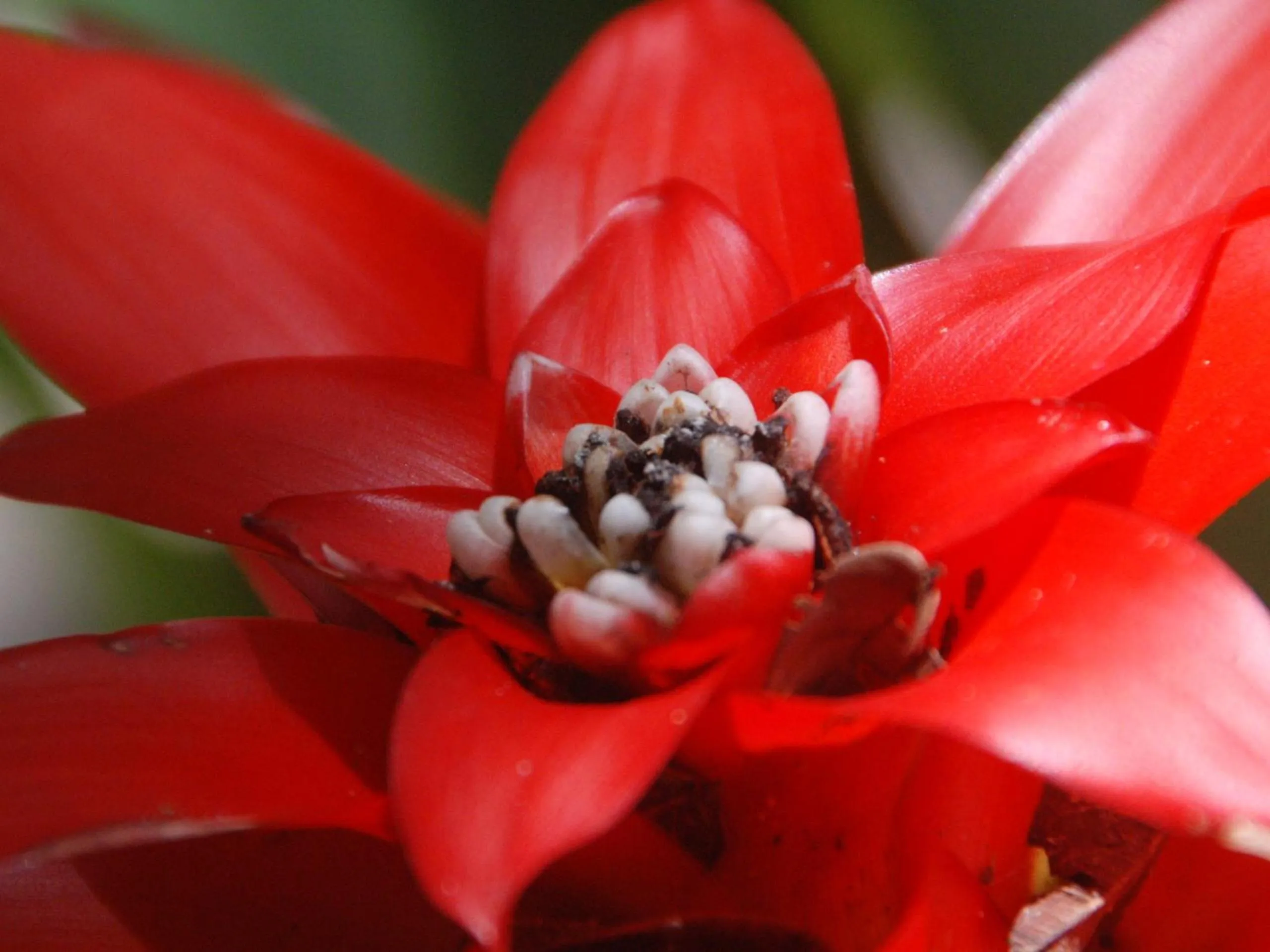 Decorative detail in Mata N'ativa Pousada