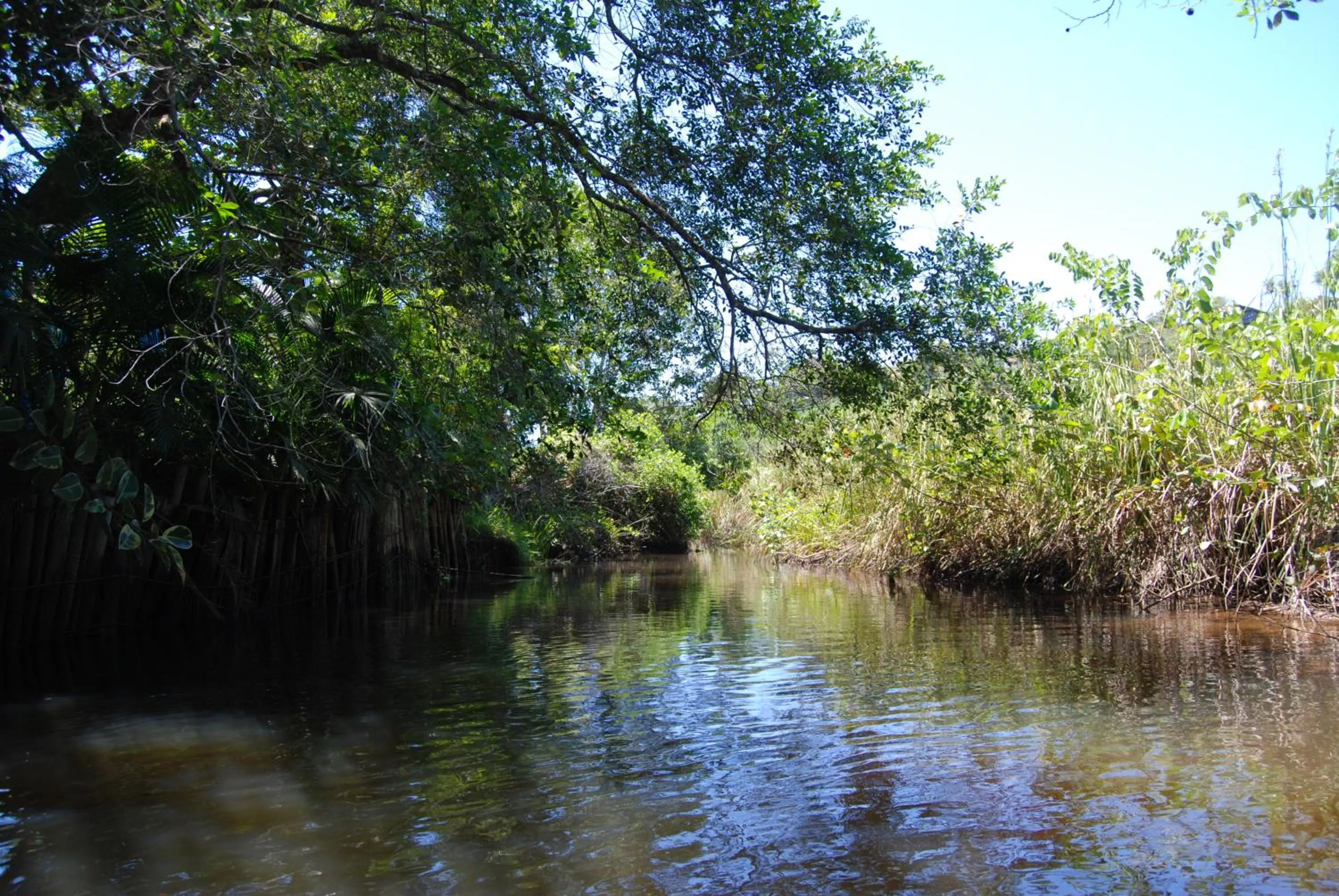 River view in Mata N'ativa Pousada