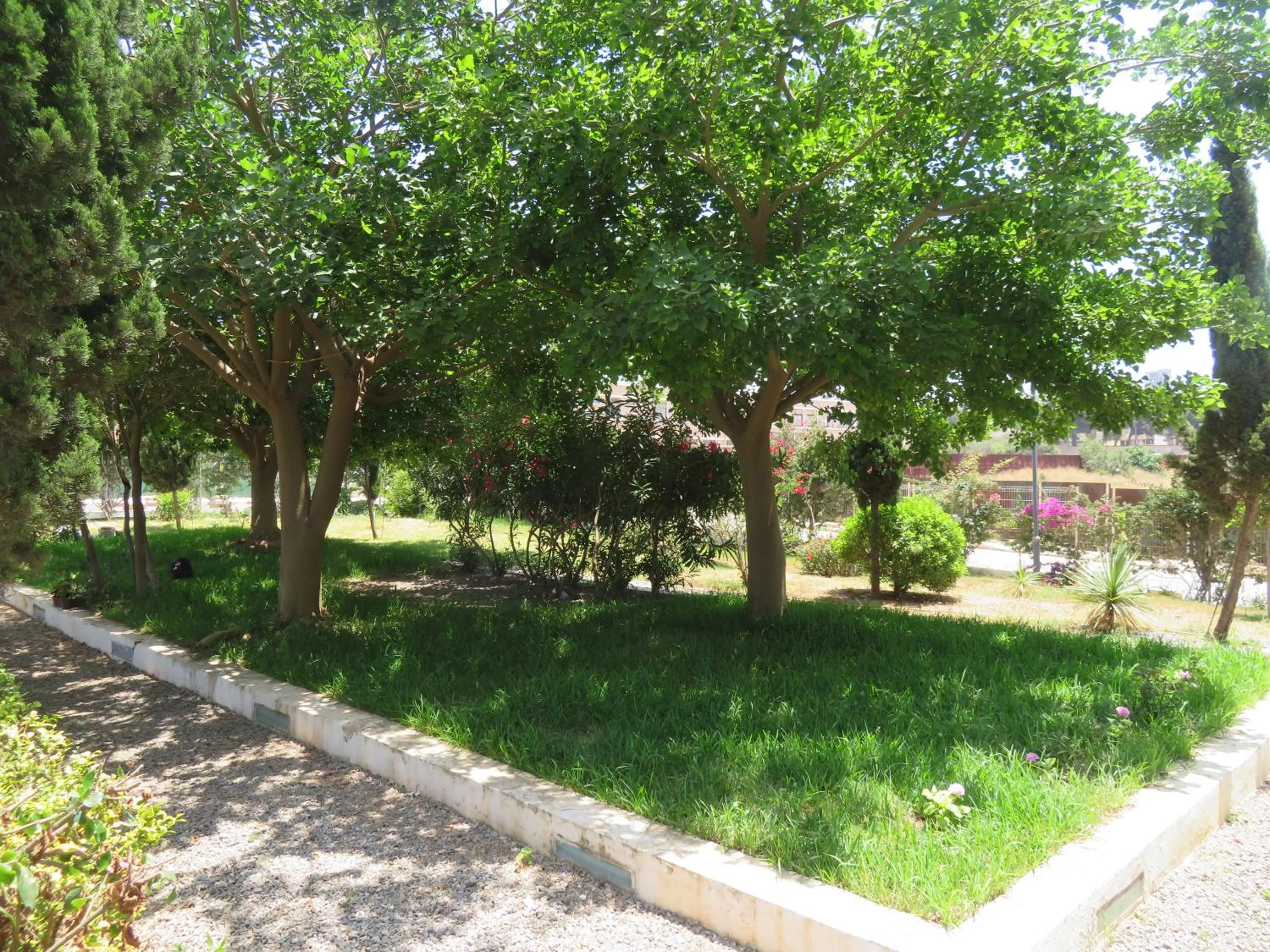 Garden in ibis Oran les Falaises