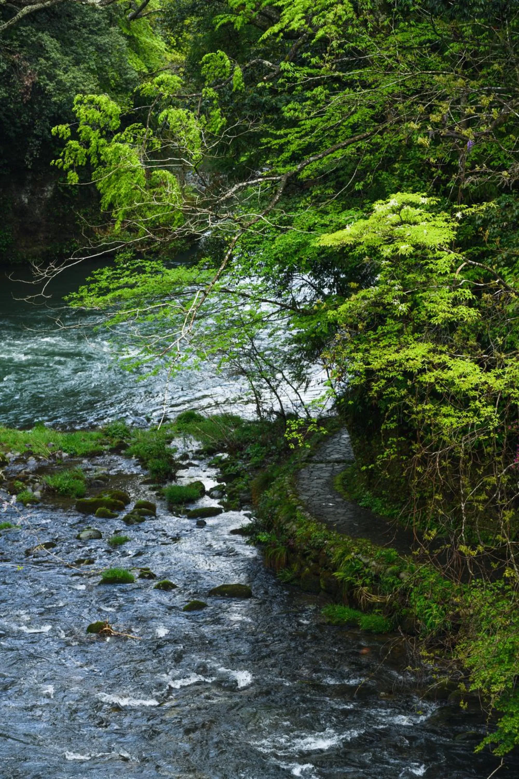 Nearby landmark in Shirasagiyu Tawaraya