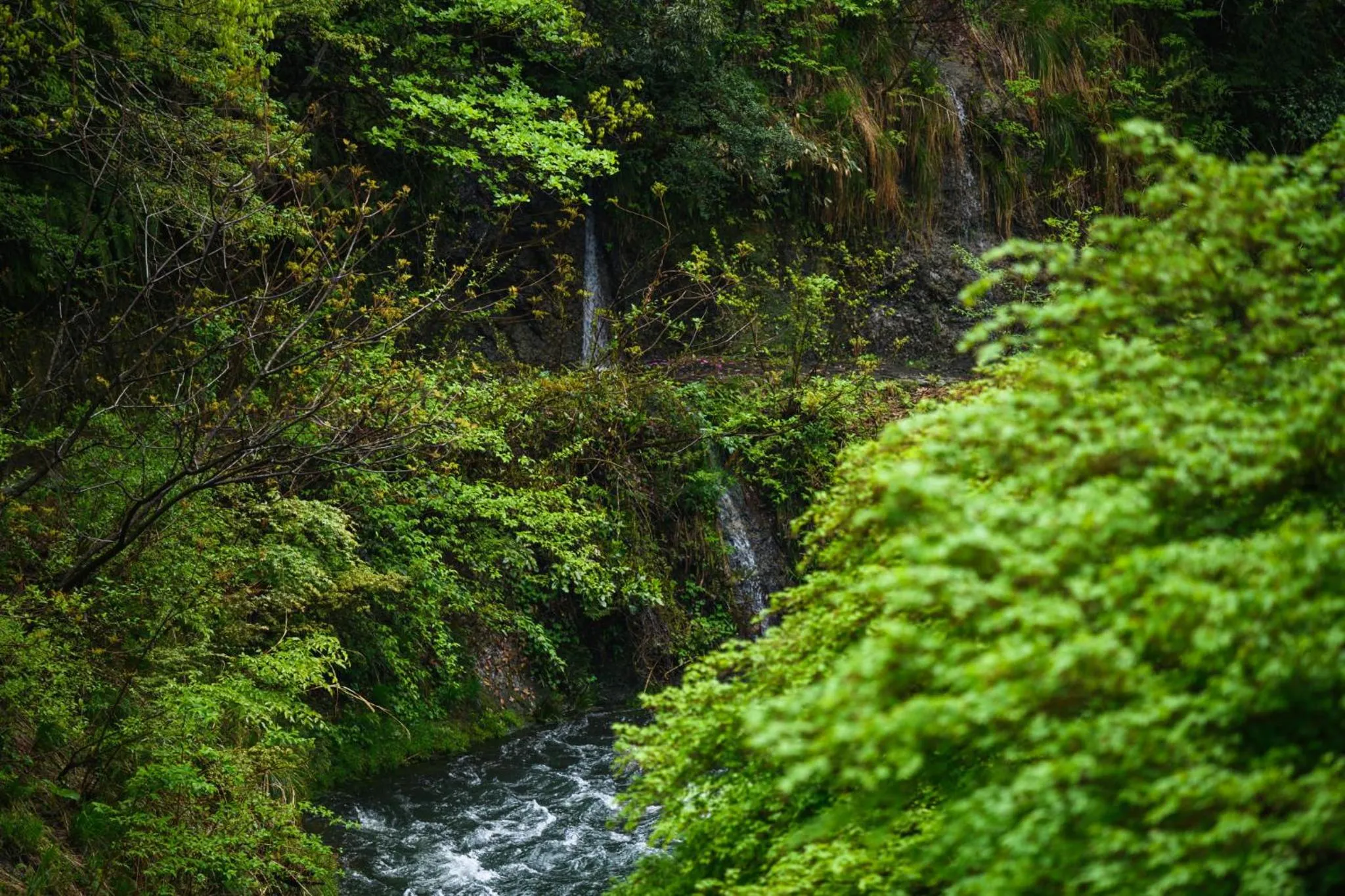 Day in Shirasagiyu Tawaraya
